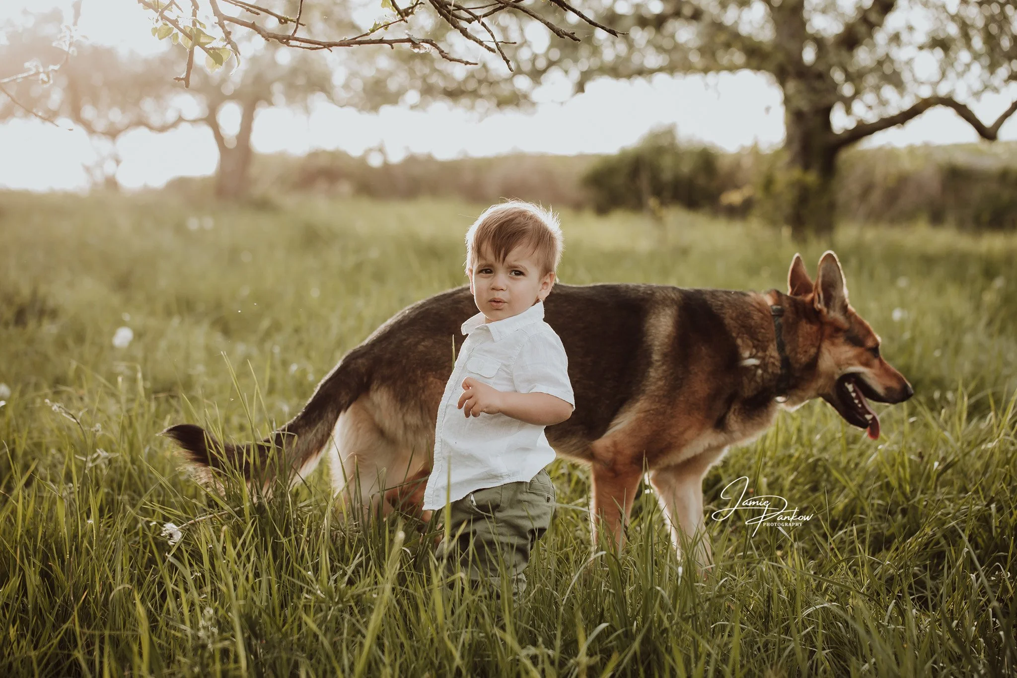 Just a boy and his dog. 

I love having the opportunity to capture moments in life just like this. How often do you look out in your yard and see your littles playing with the dog who has been there from day one, but now they have a few more grey hai