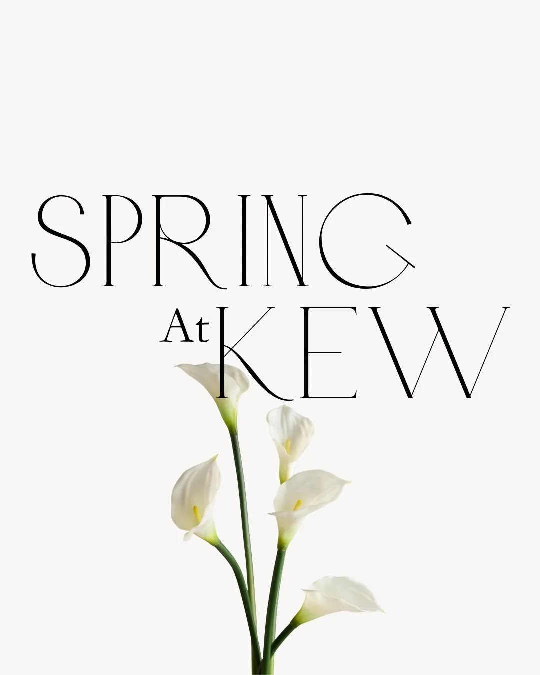 There is something about Kew Gardens at this time of year that feels particularly special. The gardens come into their own, with fresh colour and a sense of lightness that carries through every space.

The Nash Conservatory offers a setting that feel