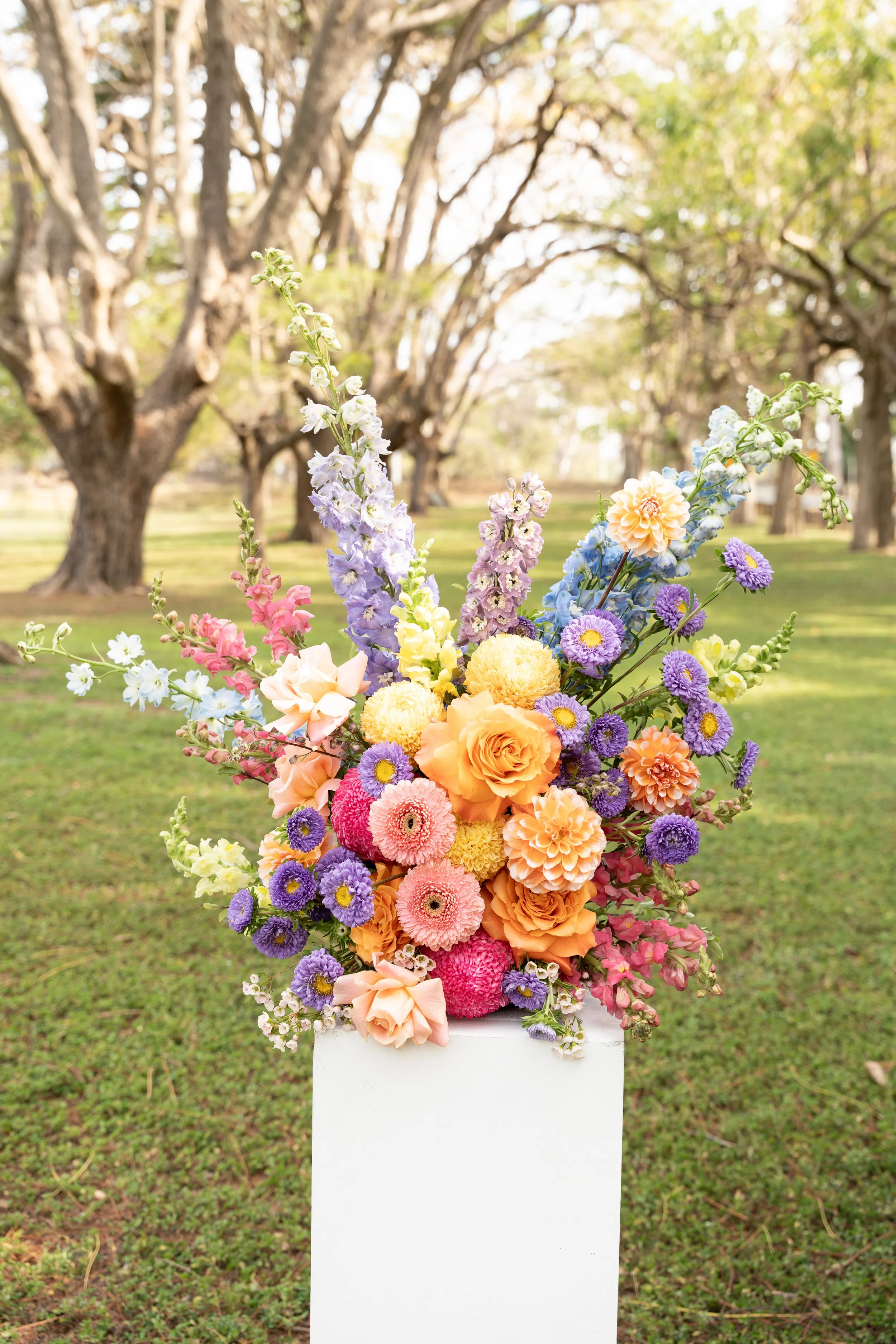 Ashlee and Brad Wedding Free Rein Media_242.jpg