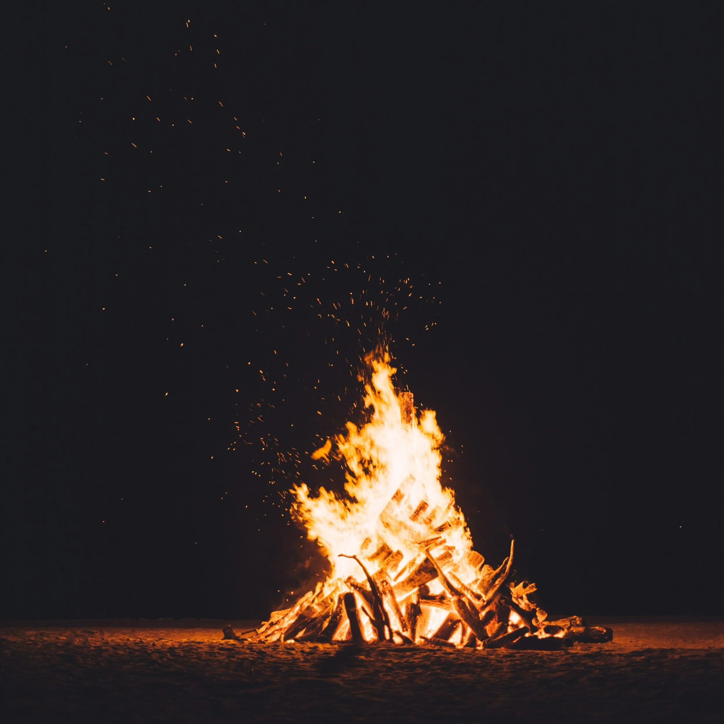 chuttersnap-rLm4Wq96h_0-unsplash.jpg
