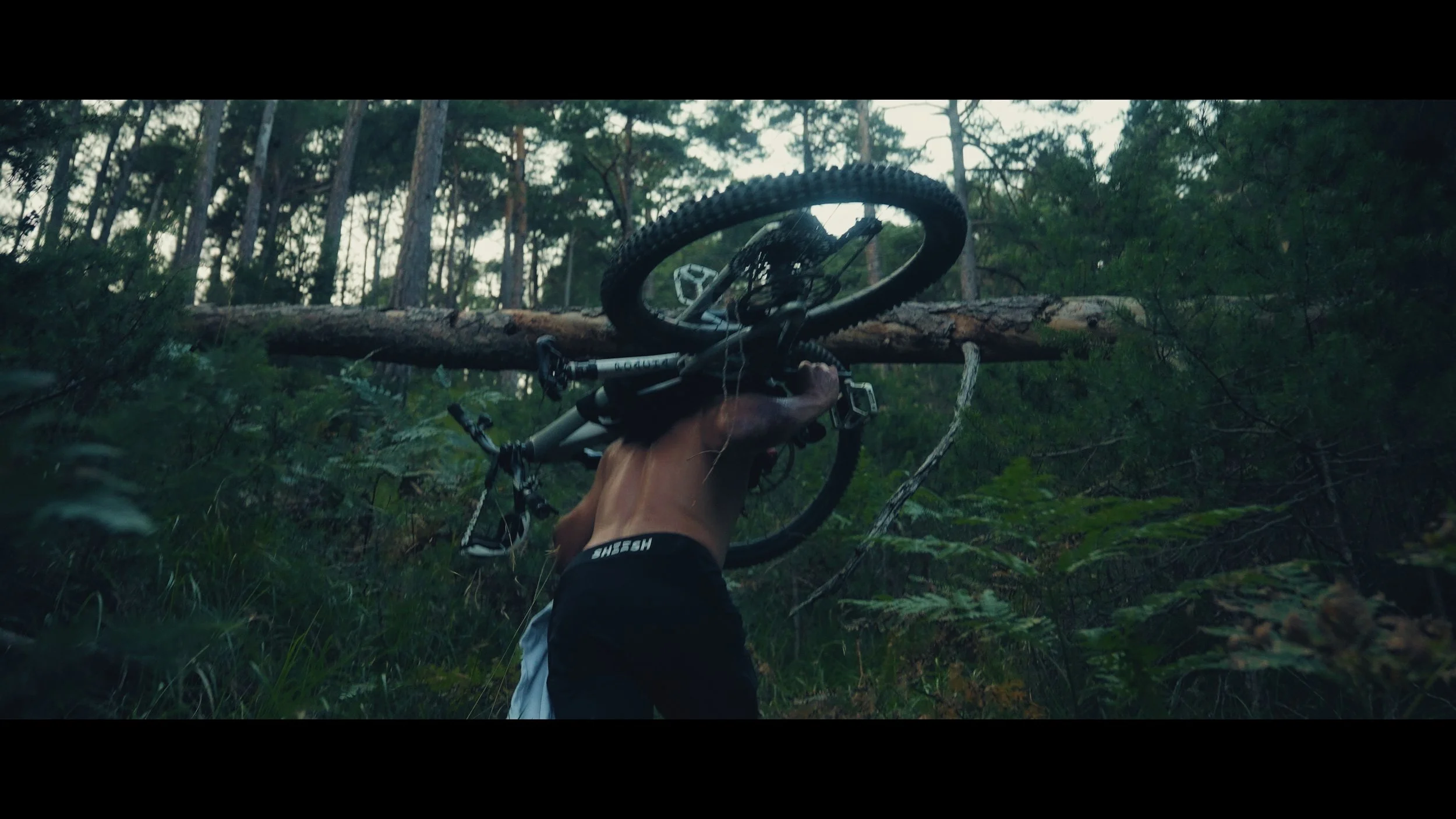 Person trägt ein Mountainbike durch einen dichten Wald, einen gefallenen Baum überquerend.