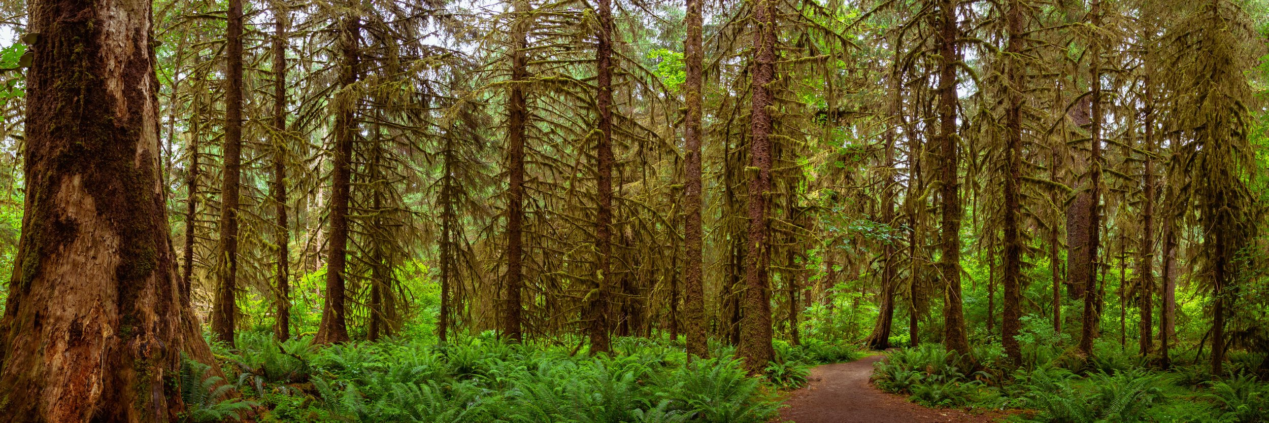 P6061647-Pano-3.jpg