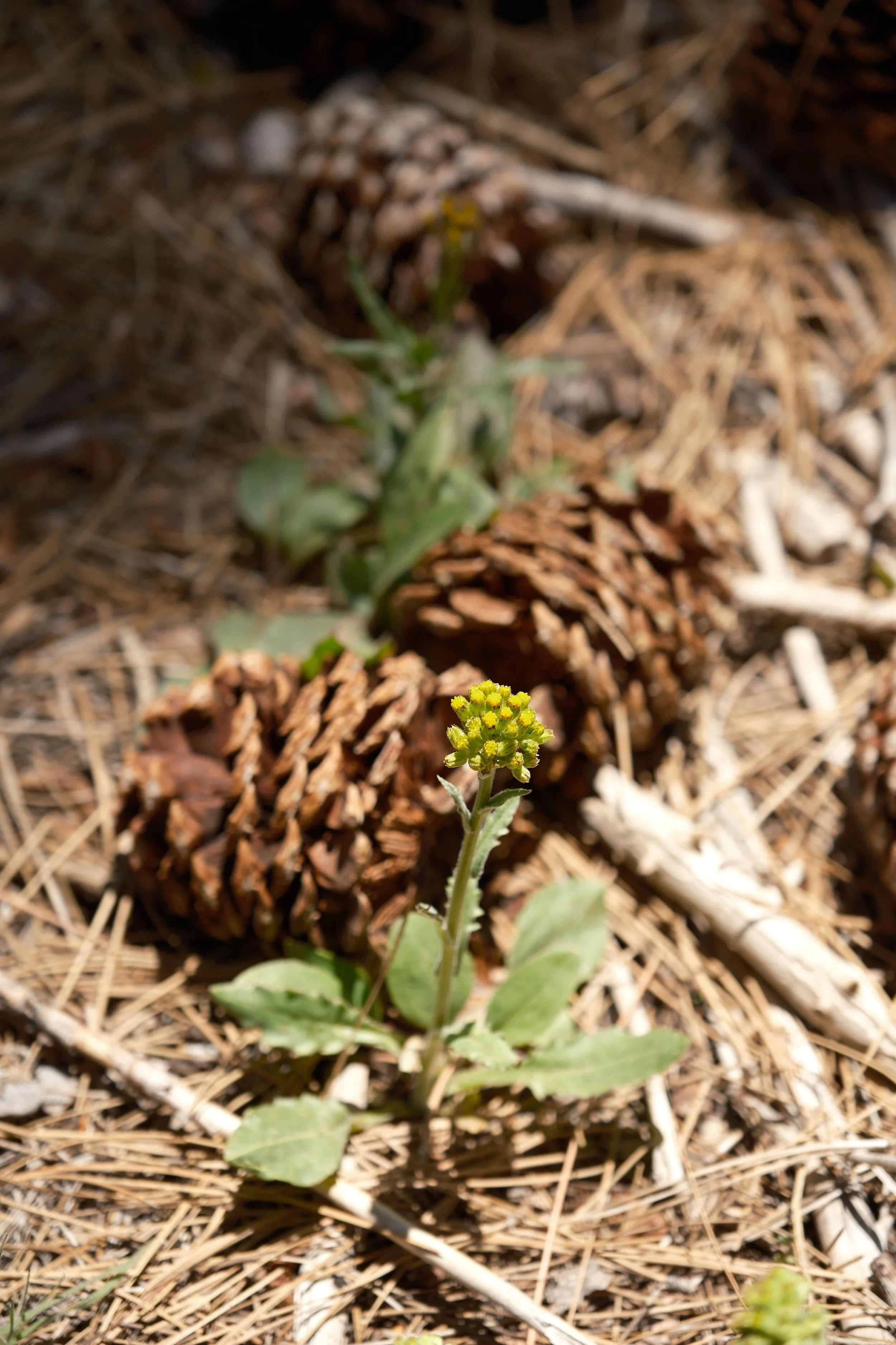 XT5A6953.jpg