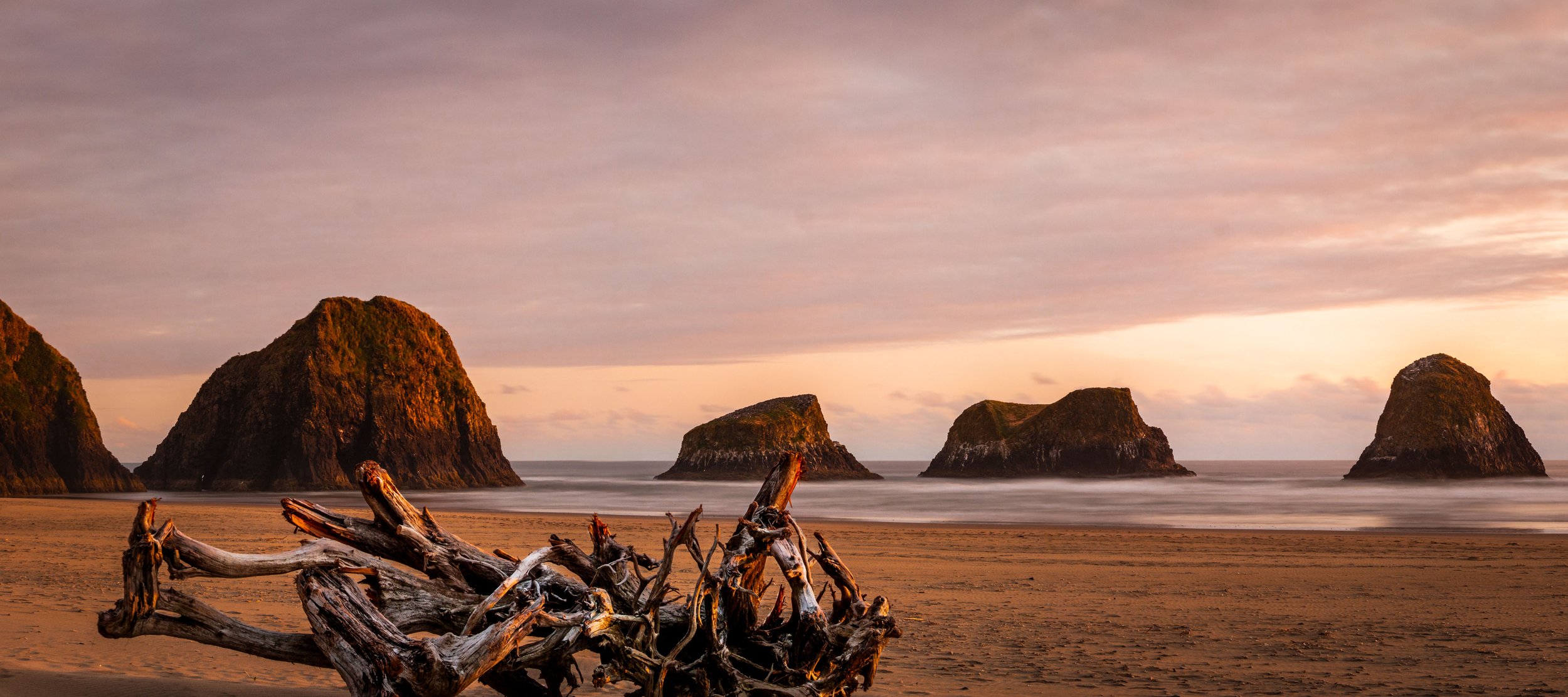 Ecola State Park OR. Ian Potter (1 of 1).jpg