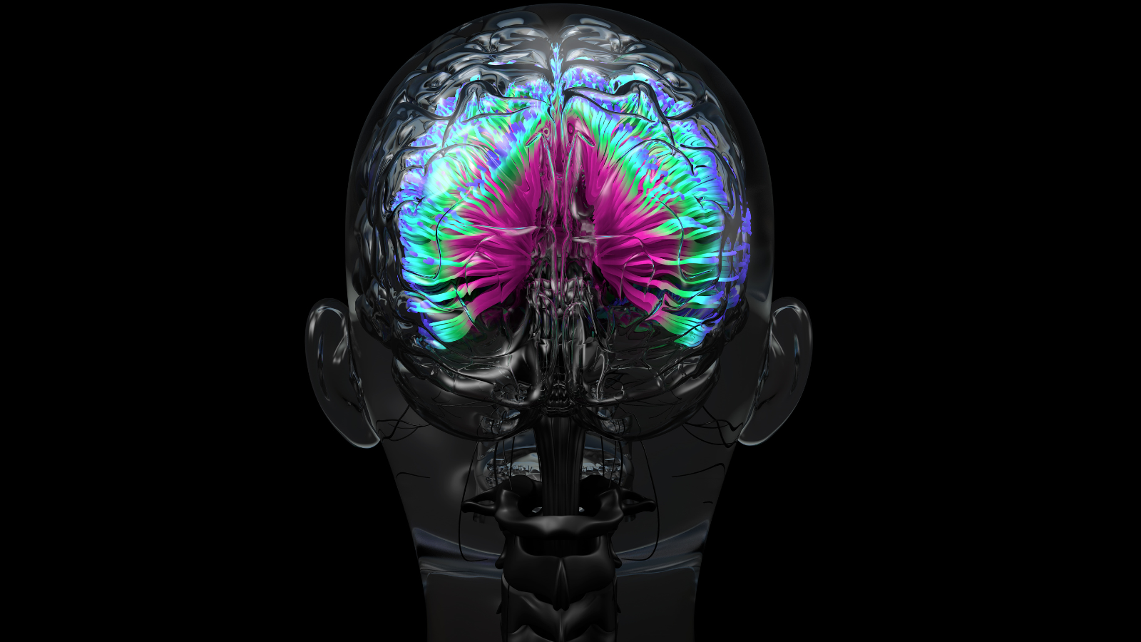 Brain Header Twitter Headers Brain