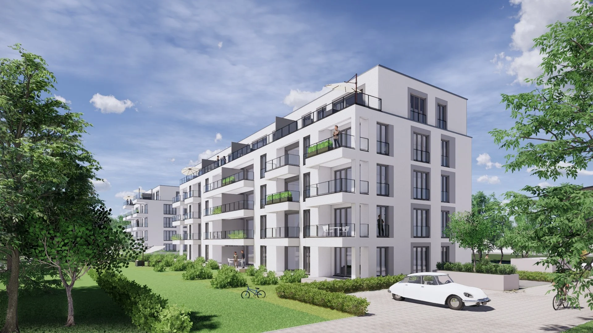 NIB_2019-05-23-12-13-56_Hinten 2x.jpg