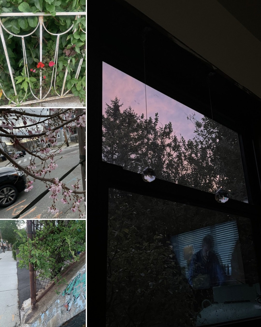 Recent inspirations and the sketches they inspired. I think these are meant to be big ✨🌱
.
.
.
.
.
.
.
#newenglandartist #artinspiredbynature #todaysartreport #contemporarypaintings #artistprocess