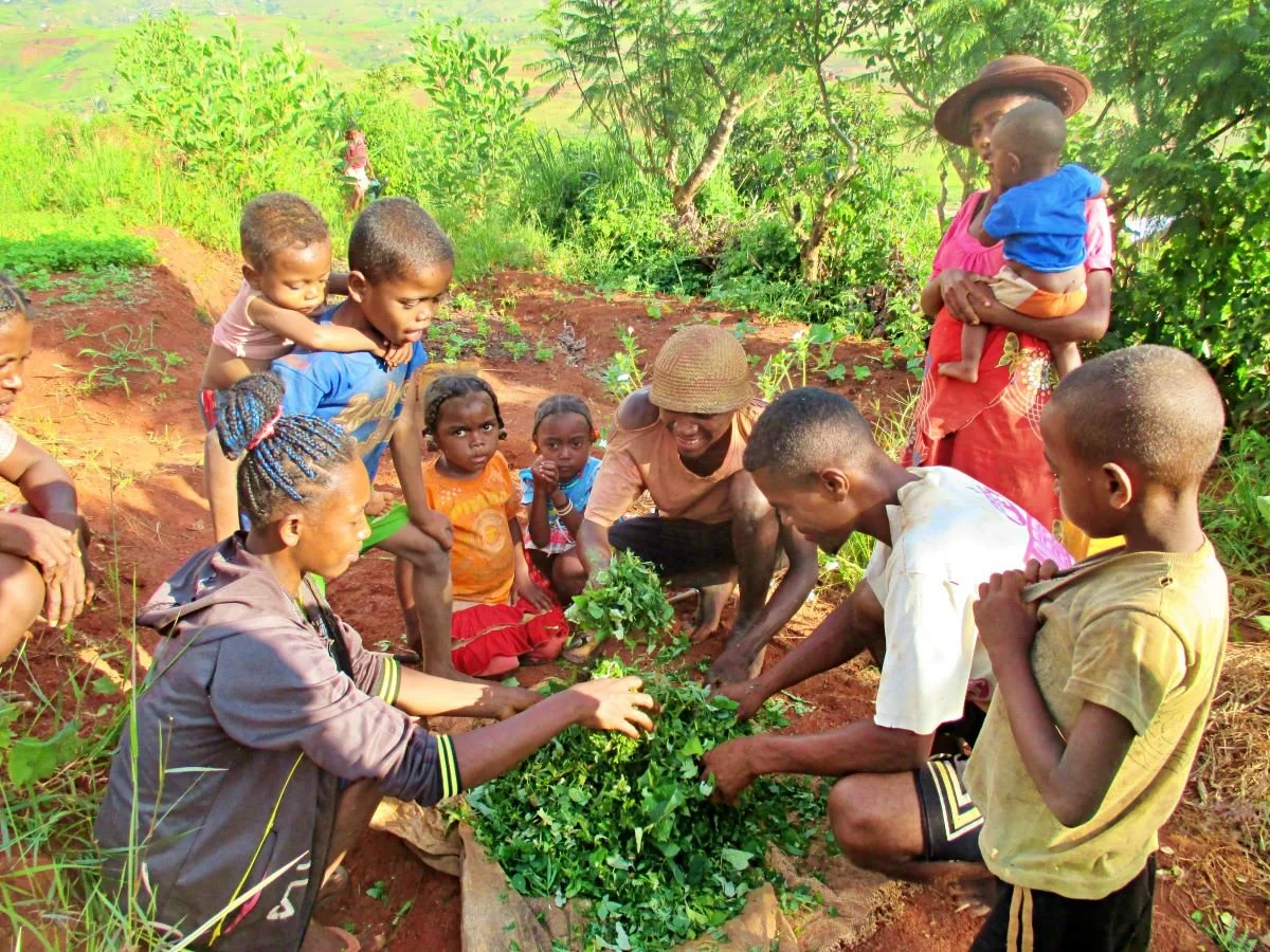 Compost training in Ihazohira .jpg