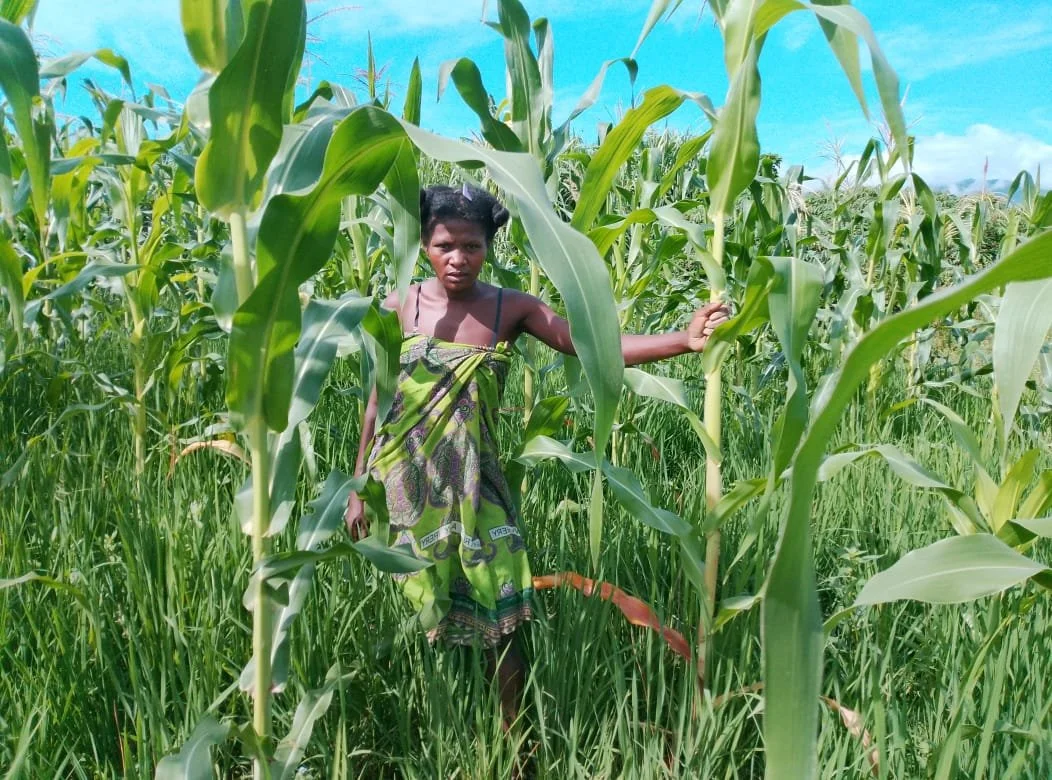 Marceline on her farm plot