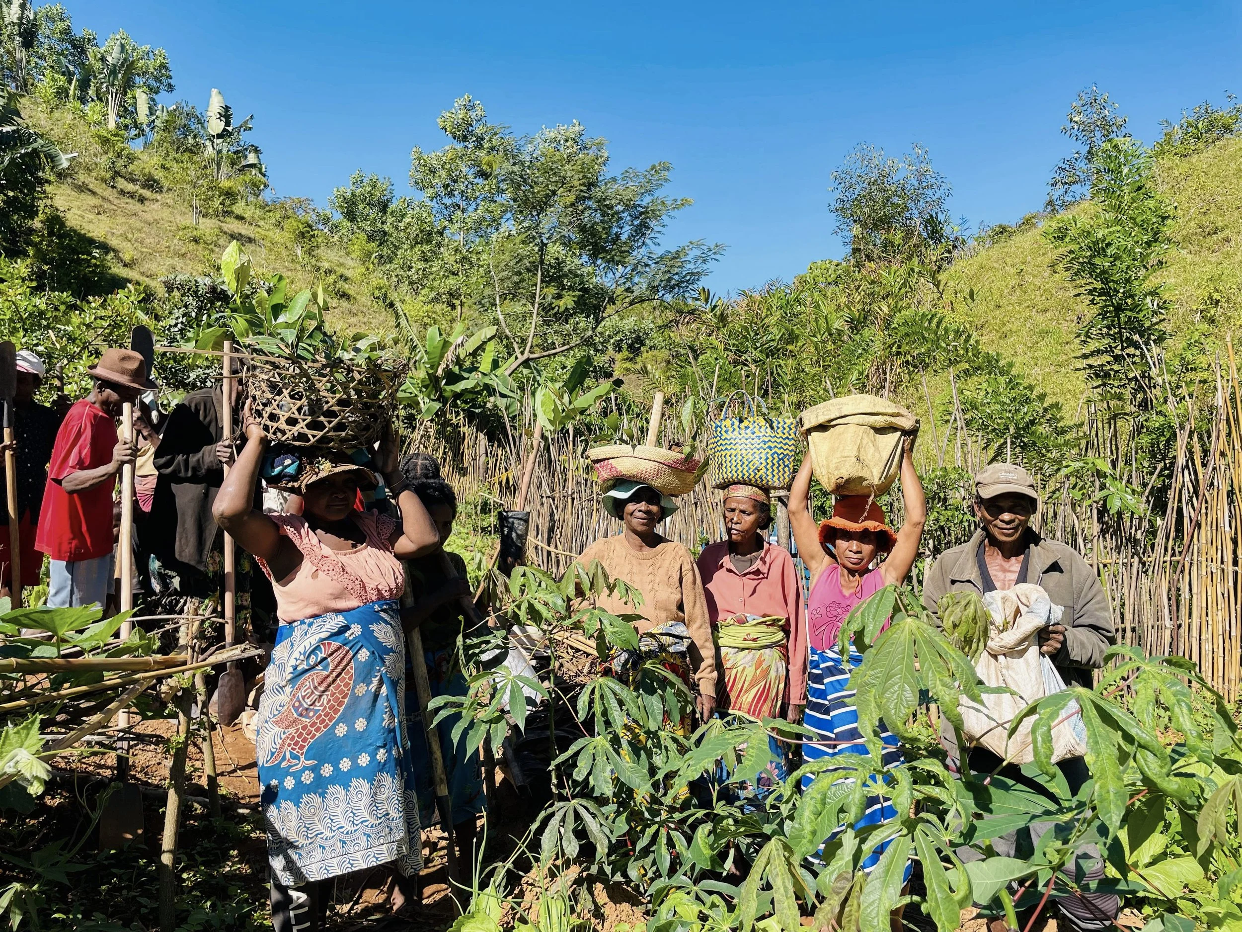 Following up on Project Fagnimbogna