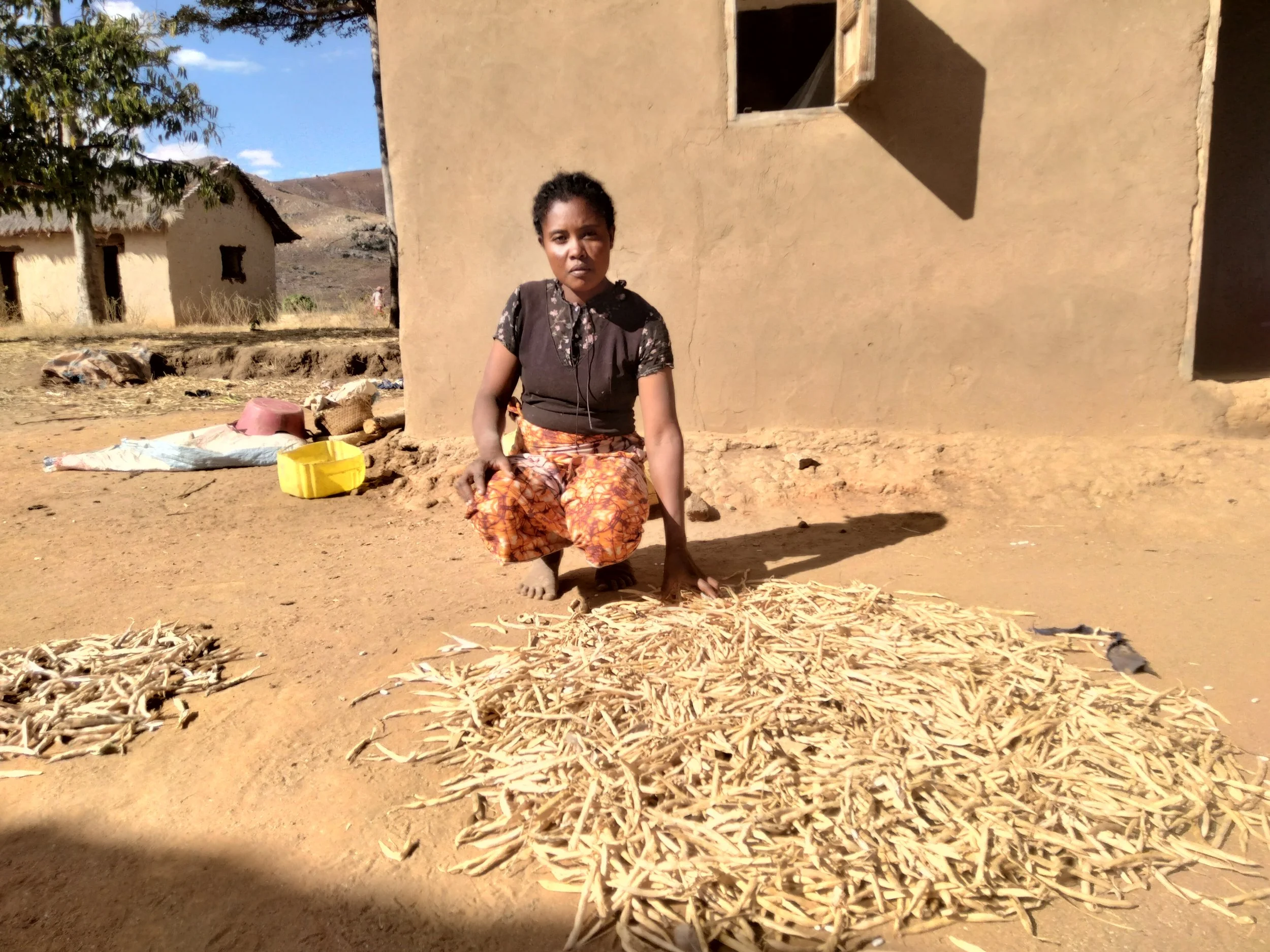 Hanitra with her bean harvest