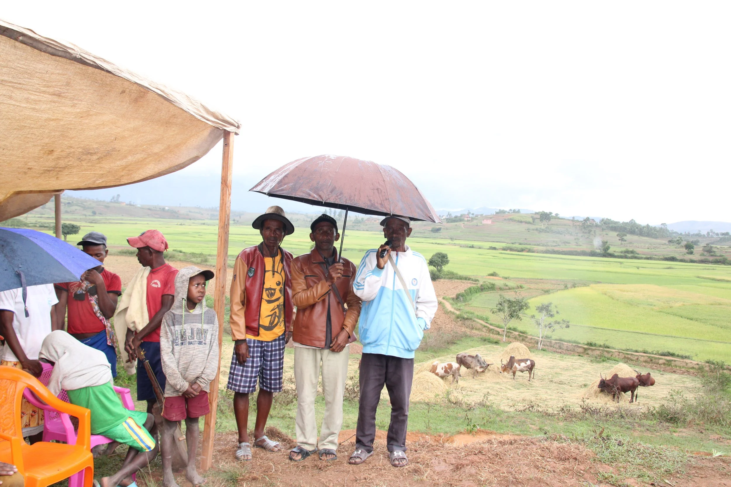 Inauguration celebration 