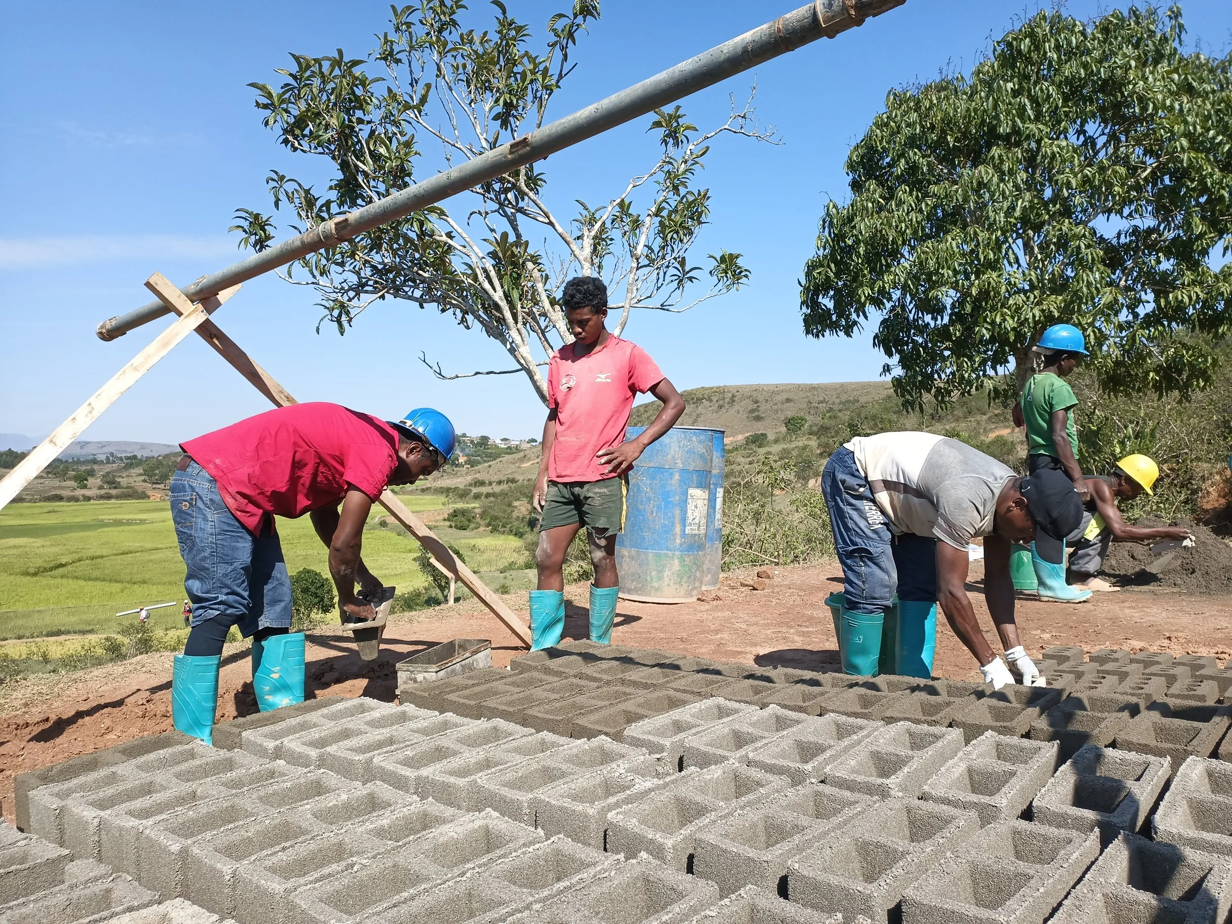 Bricks drying in the sun