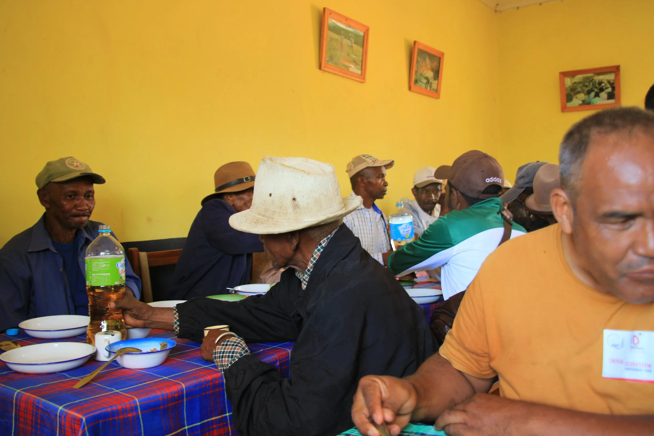 Welcoming lunch at the launch event