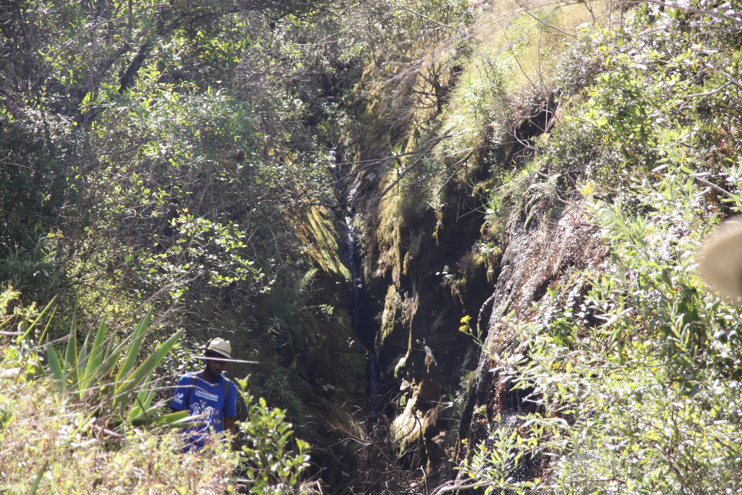 Hiking to one of the main watersheds for Ambohimahamasina