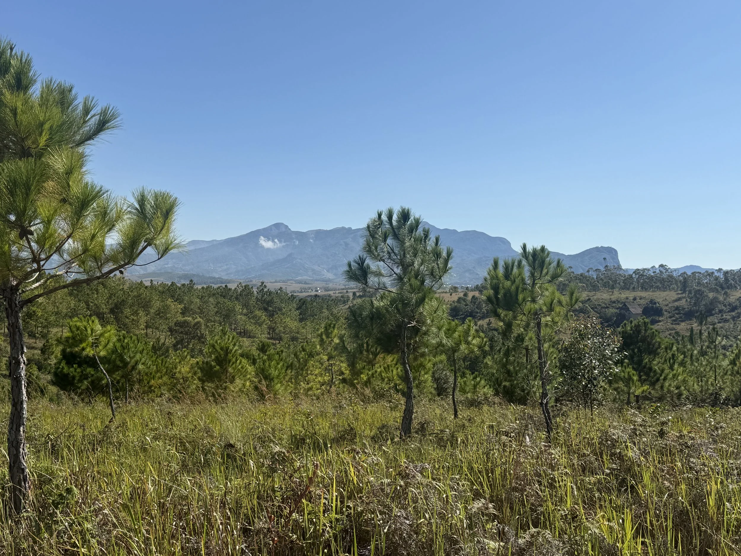 Ampembe reforestation site