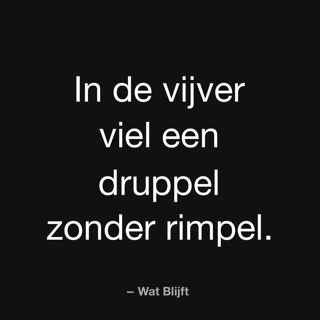 Een druppel die geen rimpel maakt, verandert alles.

#WatBlijft #Boek2026 #Resonantie #Literatuur #Thriller