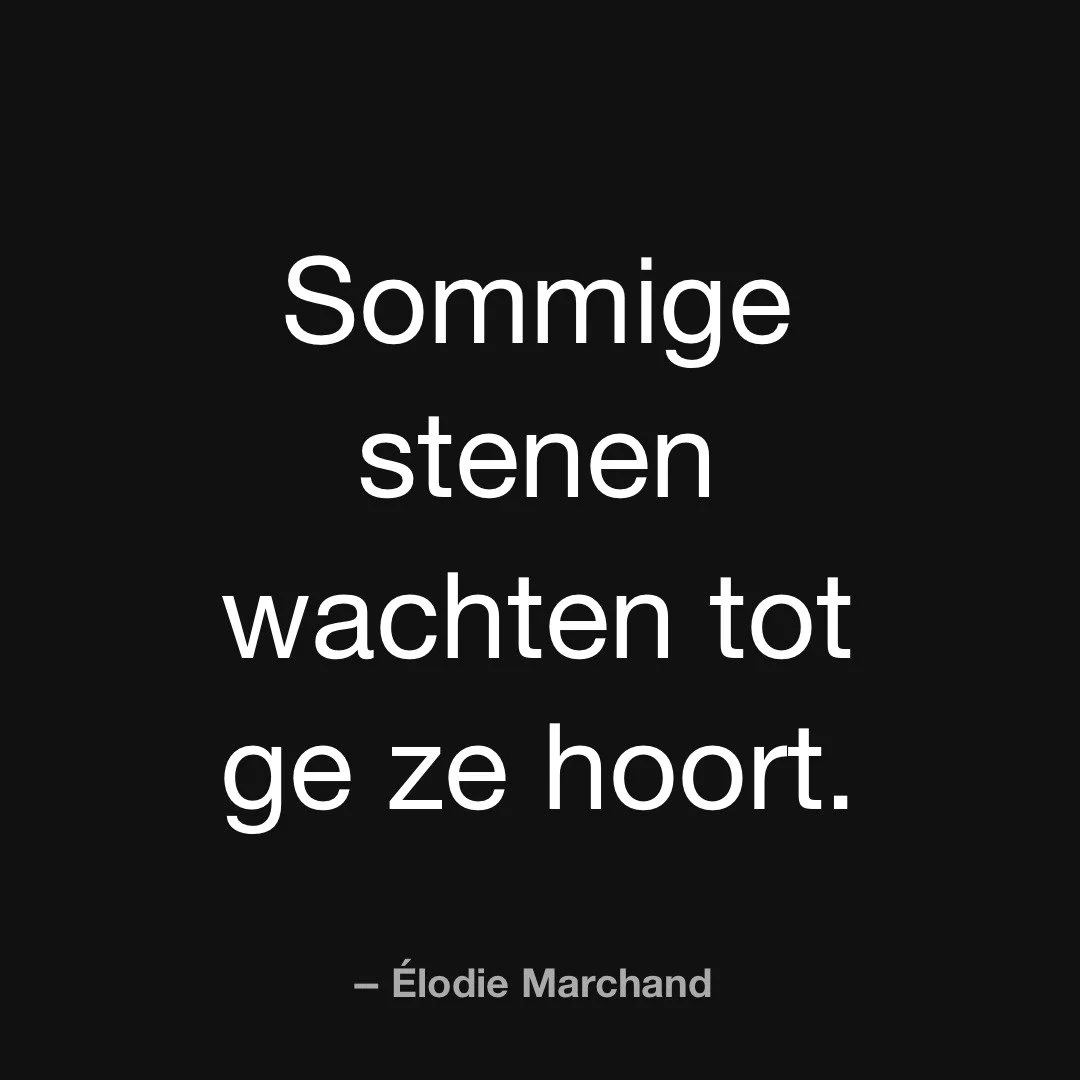 Ze hoort wat de aarde niet zegt.

&Eacute;lodie Marchand. Erfgoedgids en veldarcheologe, gespecialiseerd in geologie en Occitaanse geschiedenis.

#WatBlijft #Boek2026 #Resonantie #Thriller #Literatuur