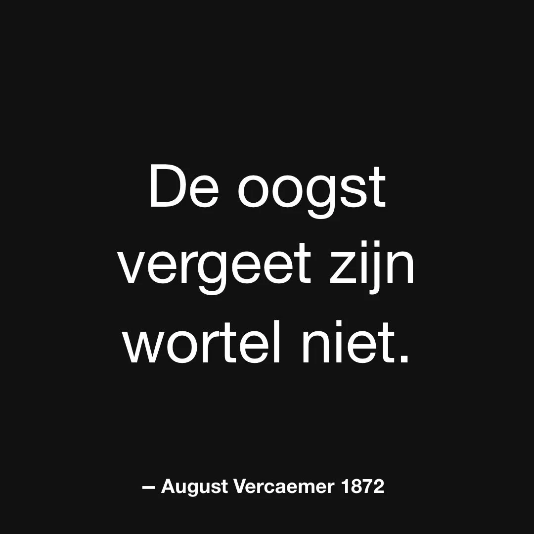 Alles wat groeit, luistert naar wat gestorven is. De stilte begint in de grond.

#WatBlijft #Boek2026 #Resonantie #Literatuur #Thriller #BoerVercaemer
#PsychologischeThriller