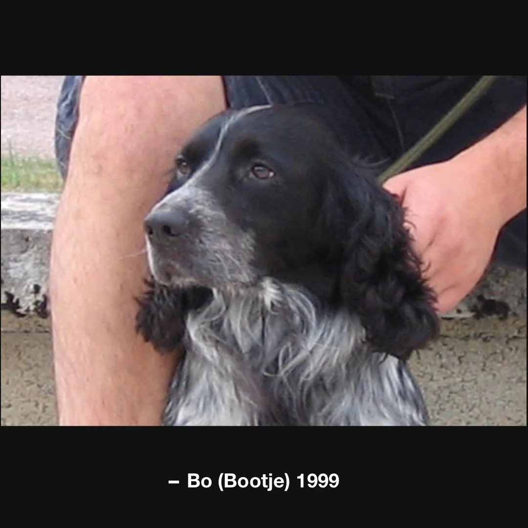 Bo wist altijd eerst wat er ging gebeuren.
Nog v&oacute;&oacute;r iemand iets zei.
Honden horen stilte sneller dan wij.

#WatBlijft #Boek2026 #Resonantie #Literatuur #Thriller #dogslove
#PsychologischeThriller