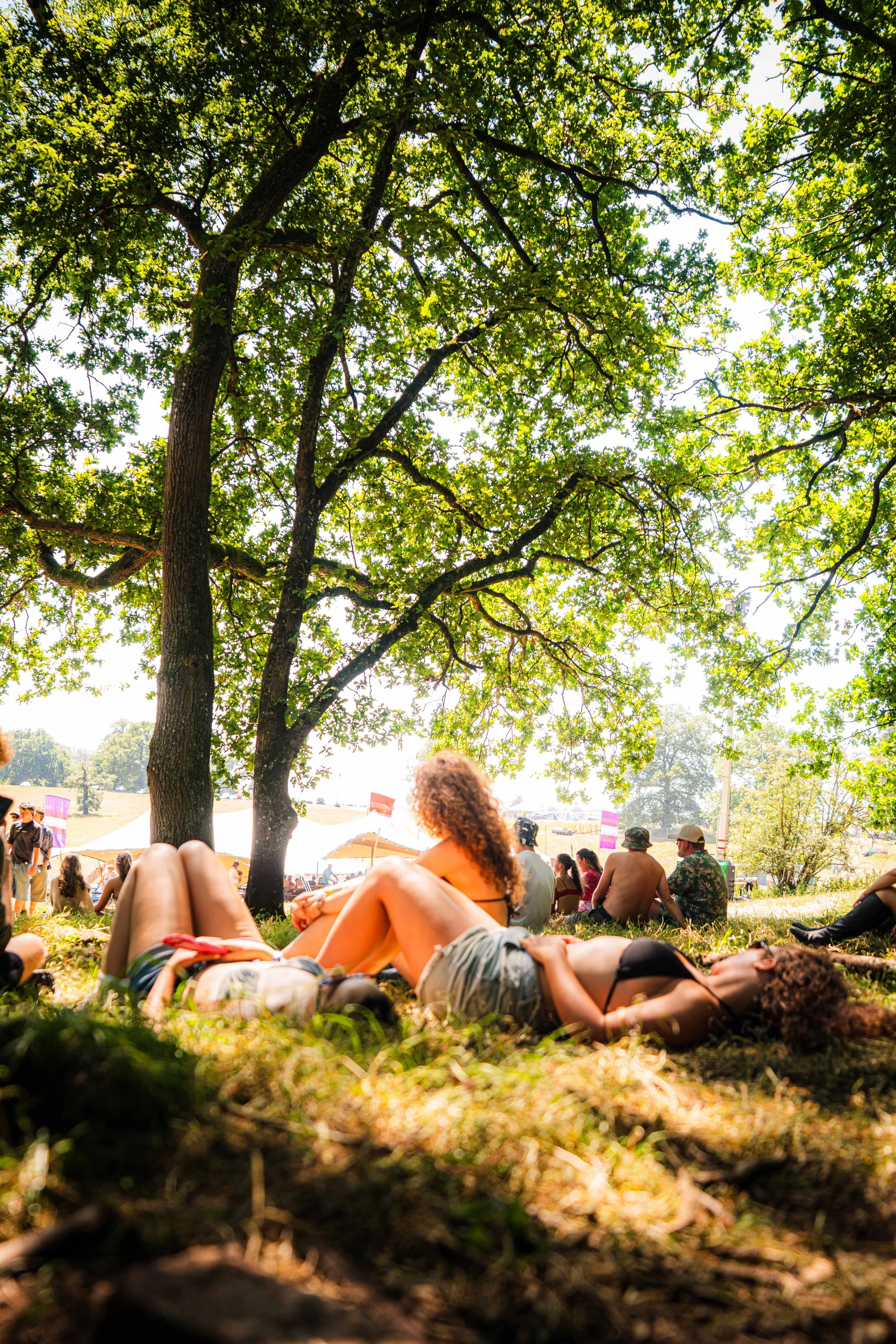 Alice Palm - 26-07-11_Into_The_Woods_@alicepalmx15.jpg