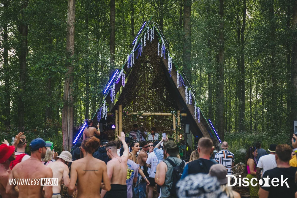 GALLERY — Into the Woods festival