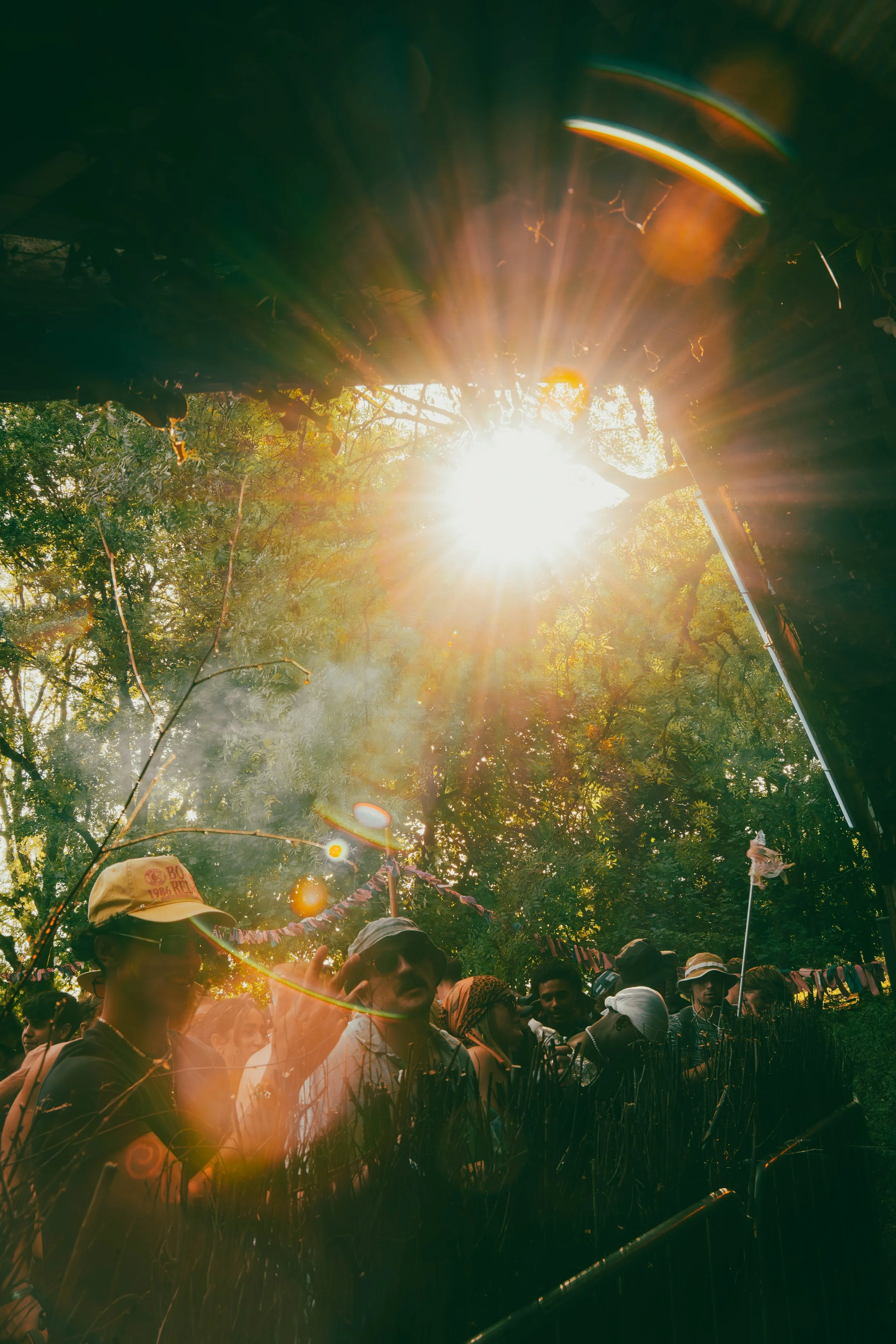 Into the Woods Festival festival photo