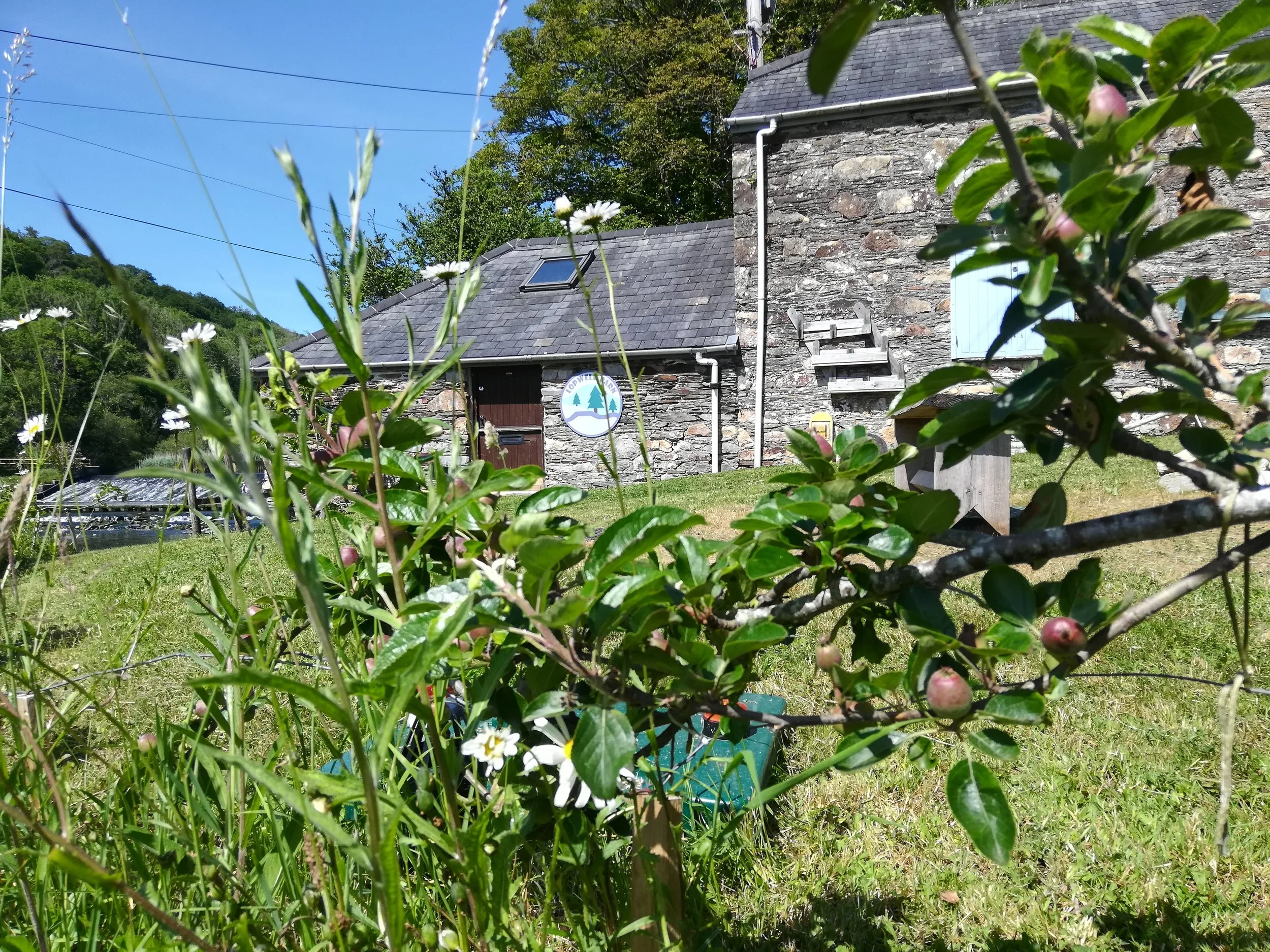 IMG_20210615_152708_Original.JPG