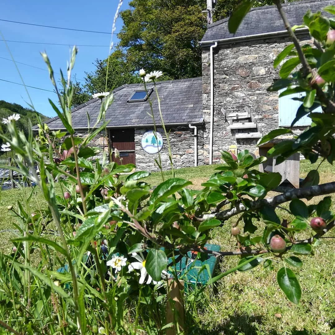 Looks like we are gonna get lots of apples this year...
#growyourown #devonlife #tamarvalley #lopwelldam