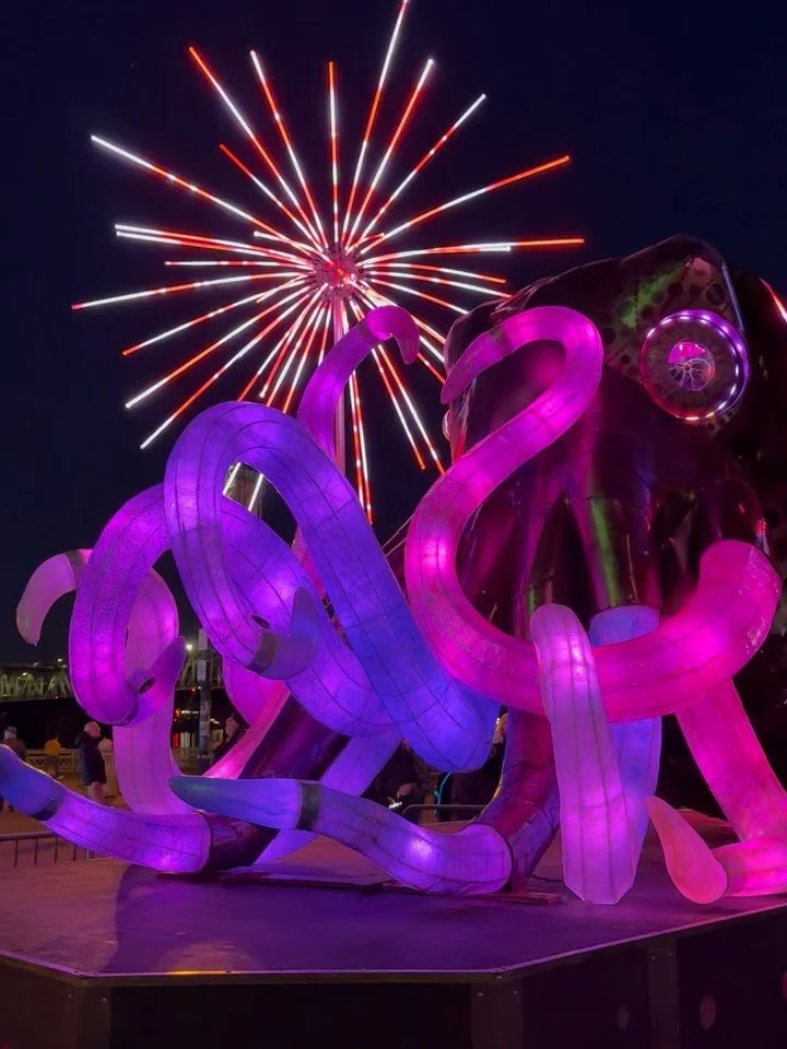 The city has come alive again with the Portland Winter Light Festival. From fire dancers to a Portland Opera singer, from interactive experiences to viewing building projections, thousands celebrated the transformative power of Light. The Festival is