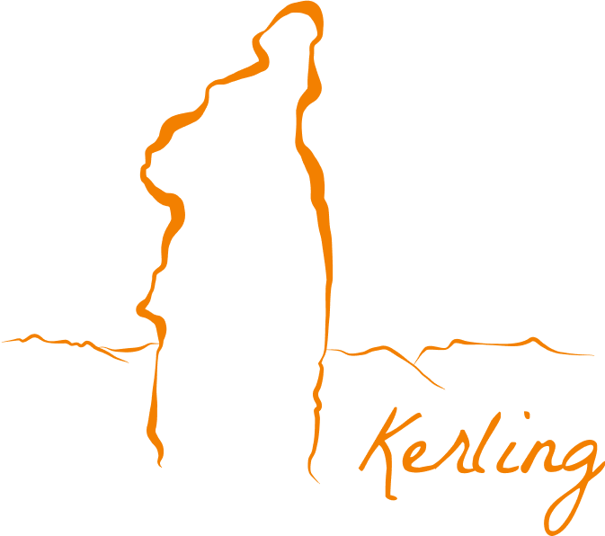 Logo-appelsínugult.png