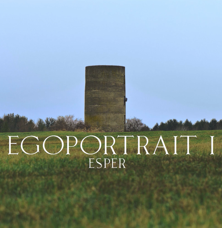 Egoportrait I.png