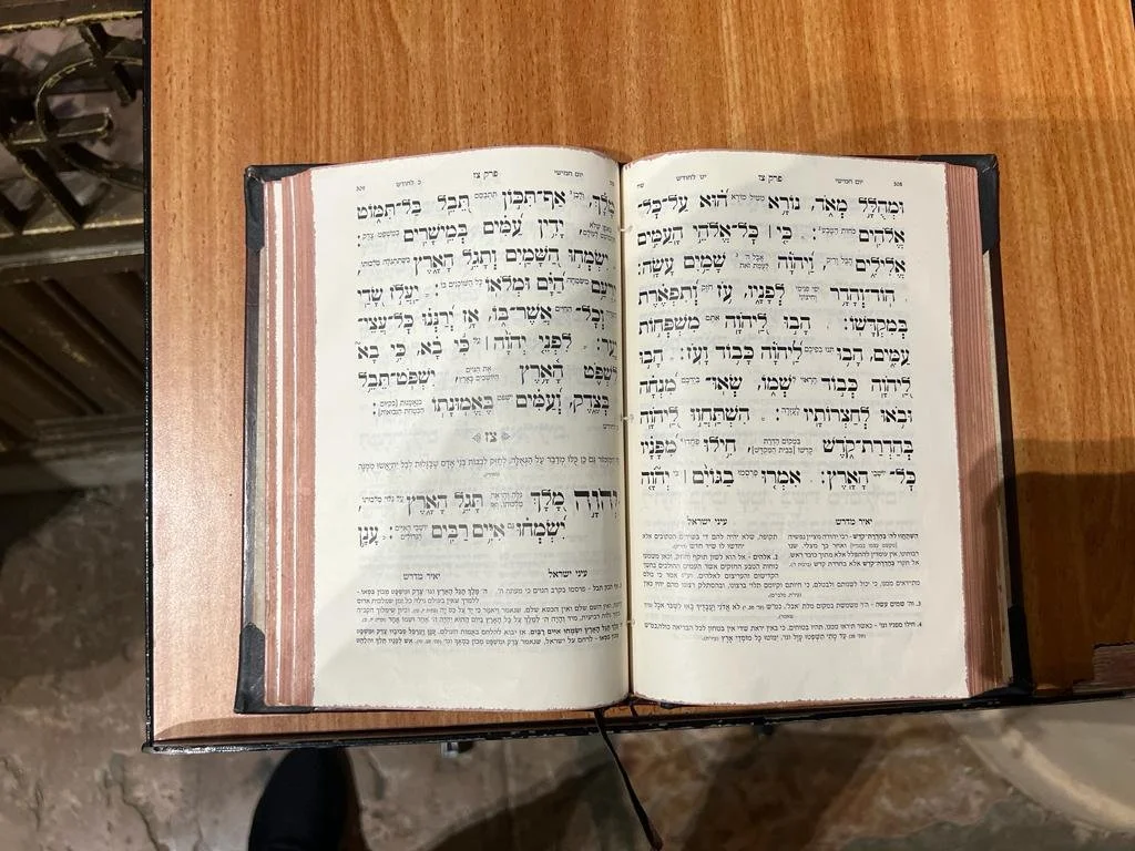 PHOTO-2023-09-03-03-33-42 4.jpg