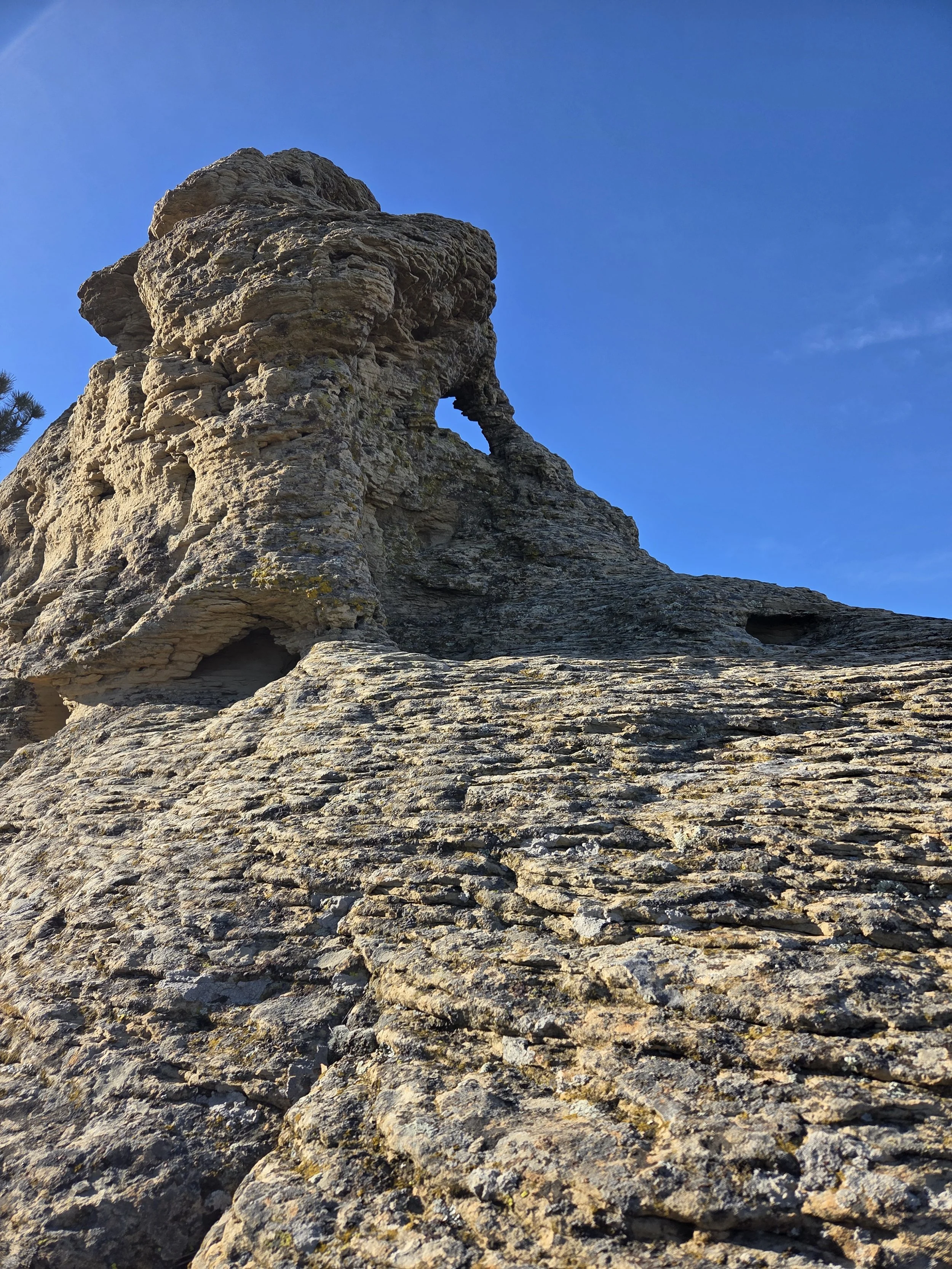 Free and (nearly free) Resources for Small Nonprofits