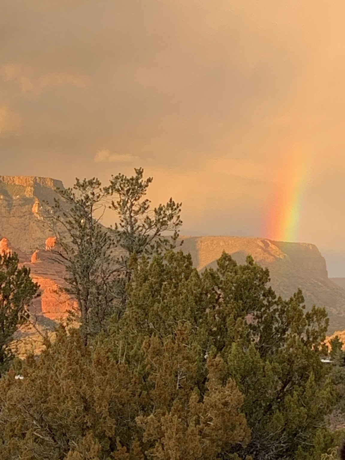 Rainbow appearing beyond forested red-rock cliffs in Sedona, AZ.