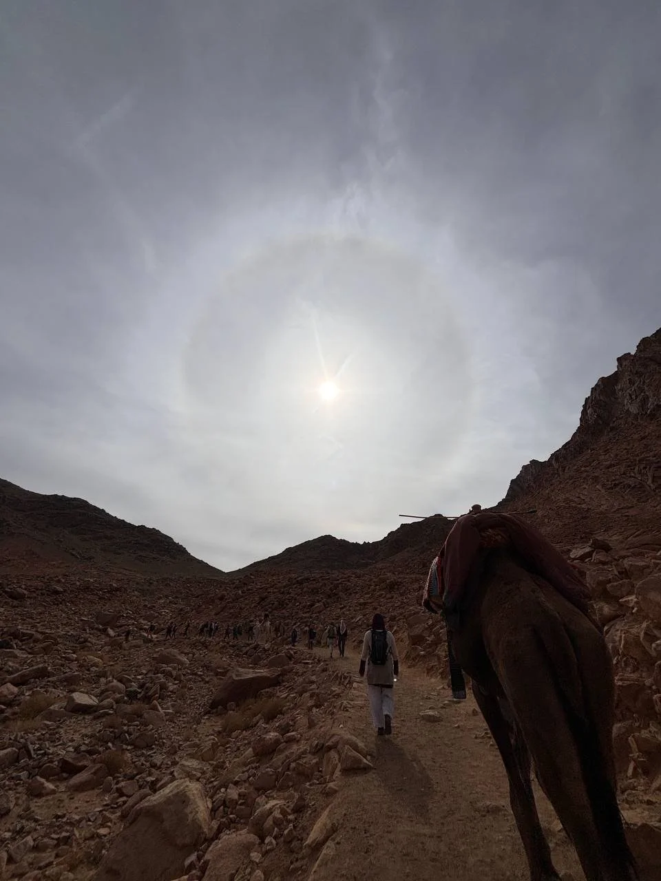 Horse and hikers on a rocky trail beneath the sun on Mount Sinai.