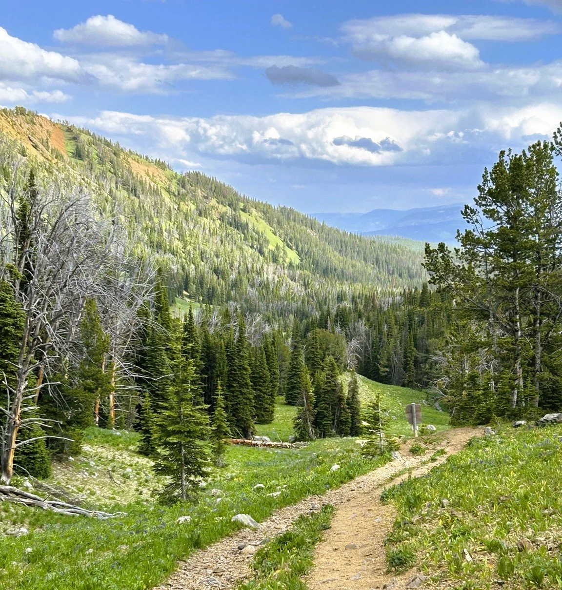 hike and pathway along beehive basin, montana.