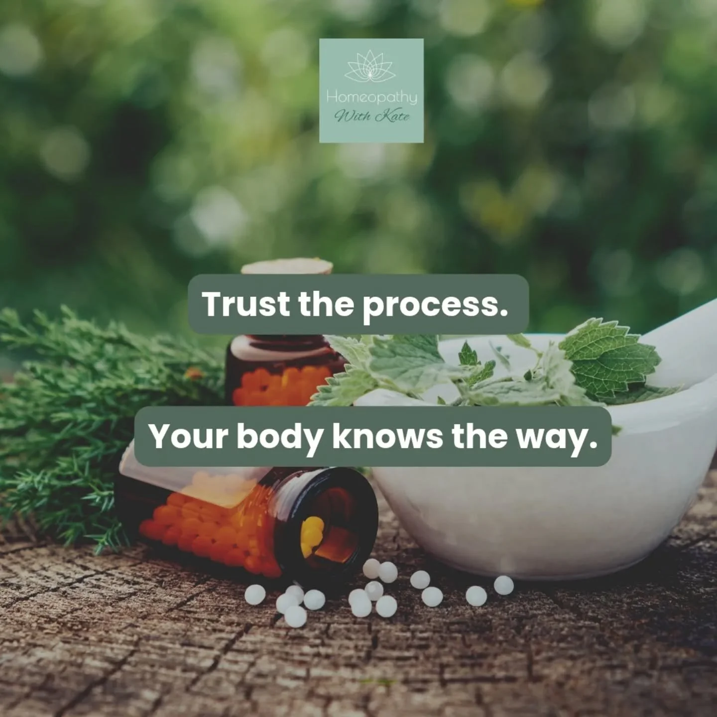 🌱✨️🌱✨️🌱
.
.
.
.
.
.
🔗 booking link in bio ⬆️: www.homeopathywithkate.co.uk 
.
.
#Homeopathy #HomeopathyHeals #NaturalHealing #AlternativeMedicine #HolisticHealth #NaturalMedicine #HomeopathyWorks #HealingNaturally #GentleHealing