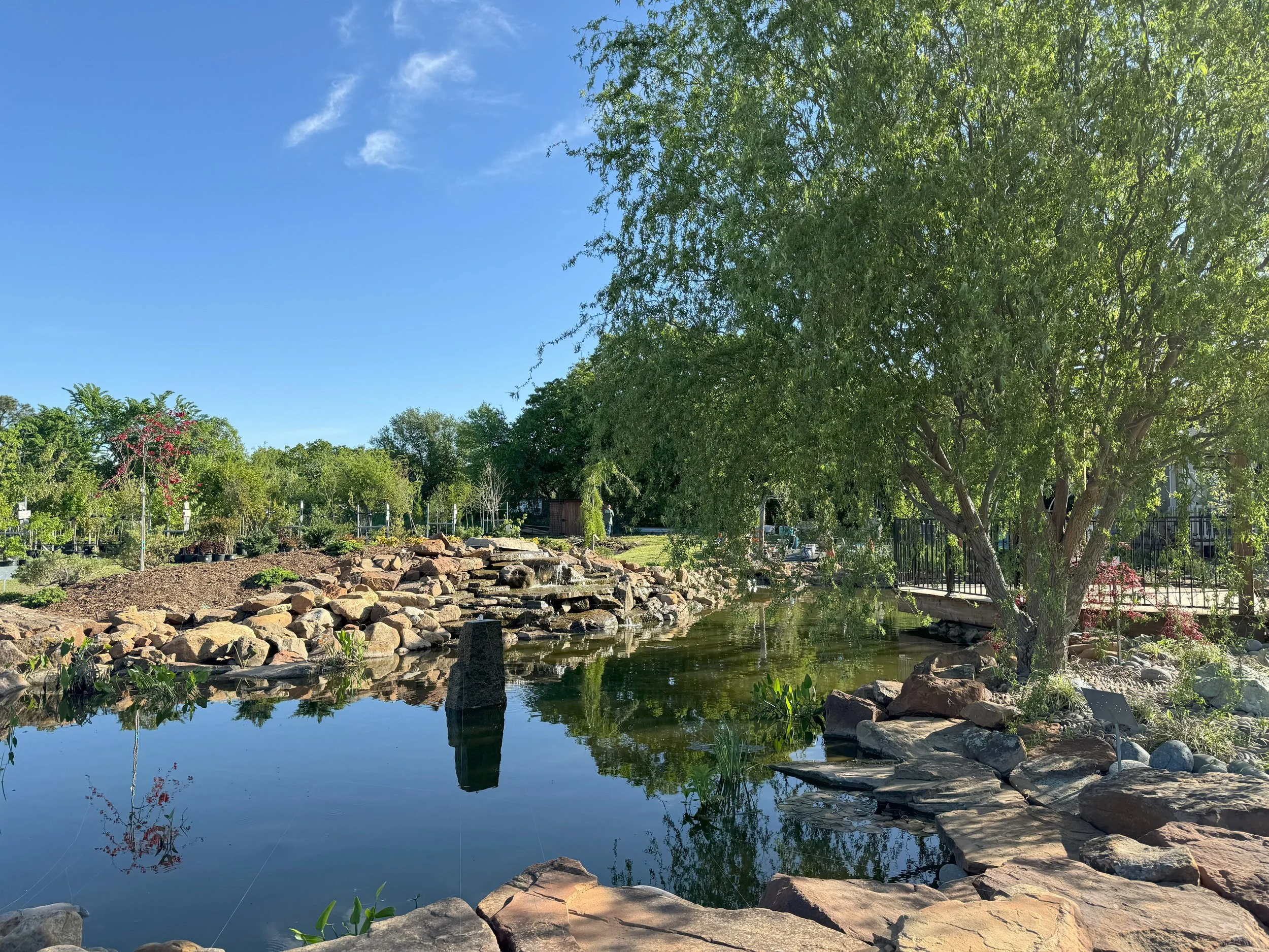 Pond Willow Tree Waterfall.jpg