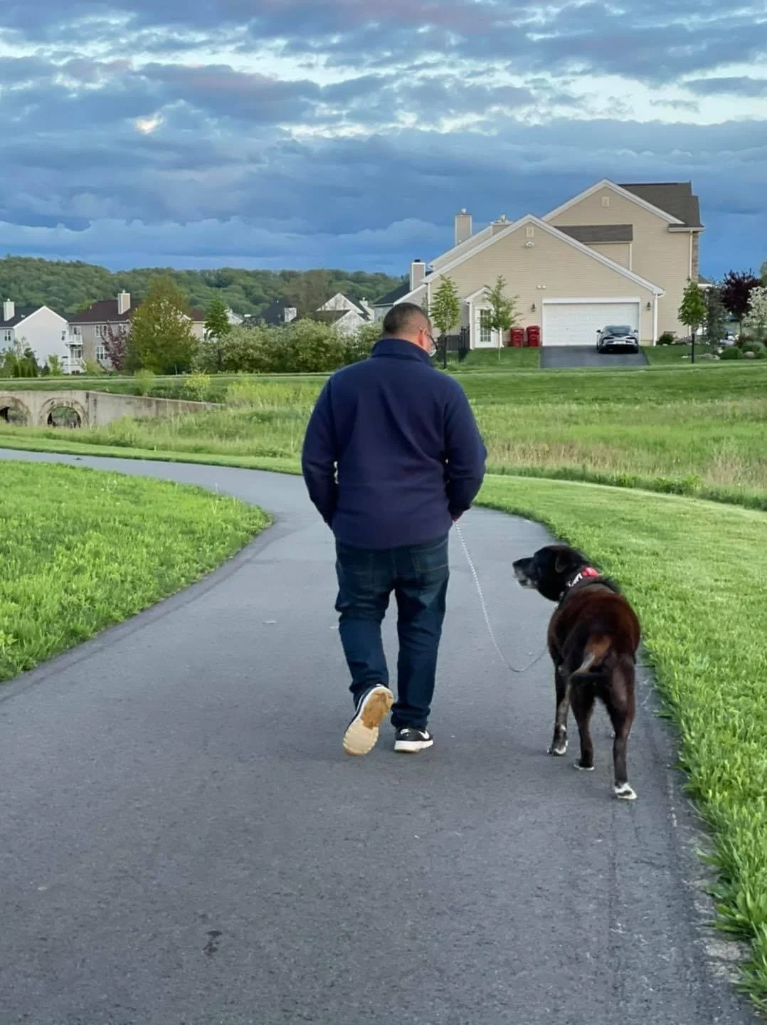 General 1 — Mountain View Kennels Luxury Dog Hotel