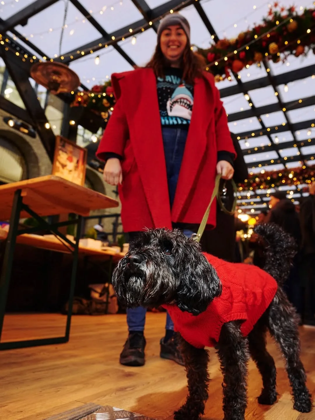We are dog friendly! 🐾 so feel free to bring your lil (or large) mate along when you come to Hays (especially if they're in a Christmas jumper) 🎄🥰

#christmastime #dogsofinstagram #doglife #dogfriendly #haysontheriver #londoncity