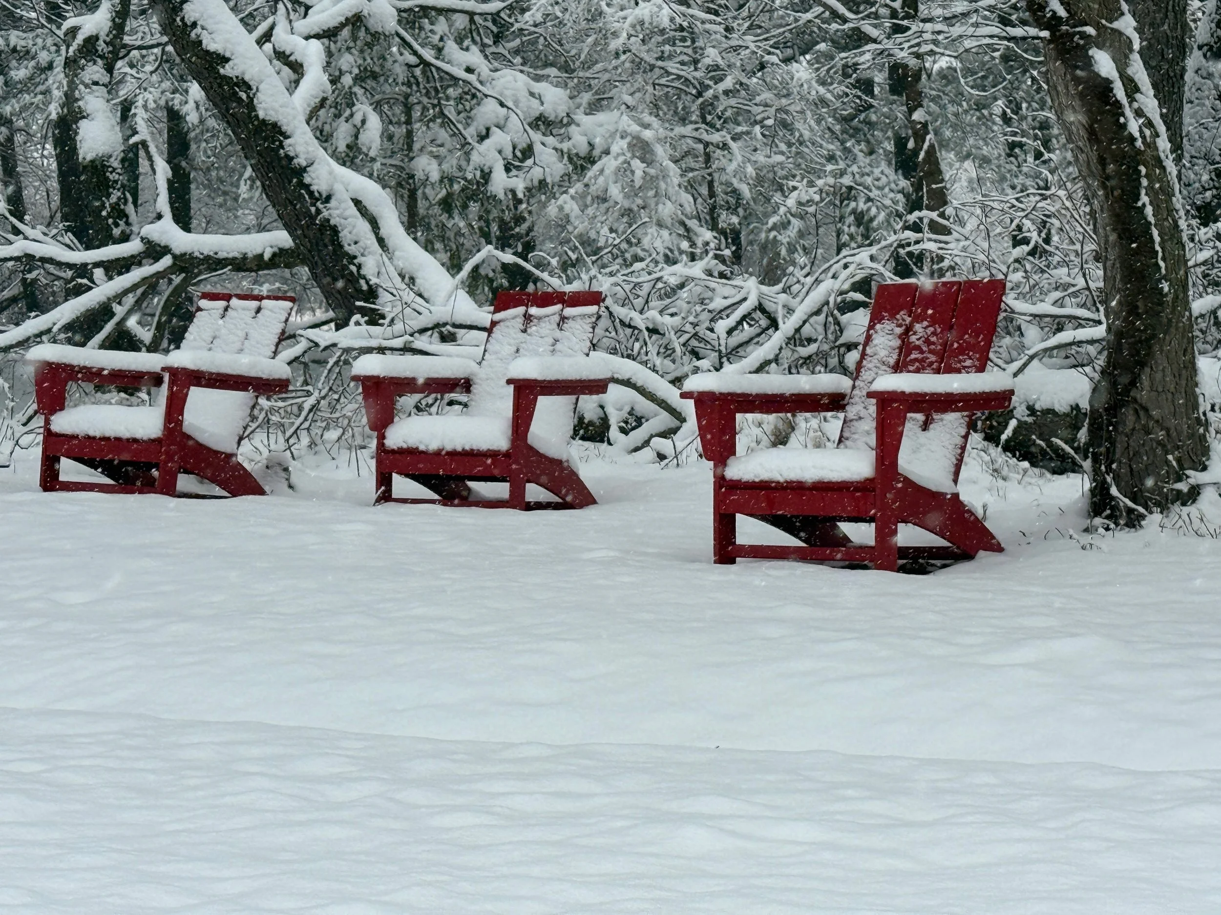 It’s Still Winter and I’m Still Coping (Barely)!