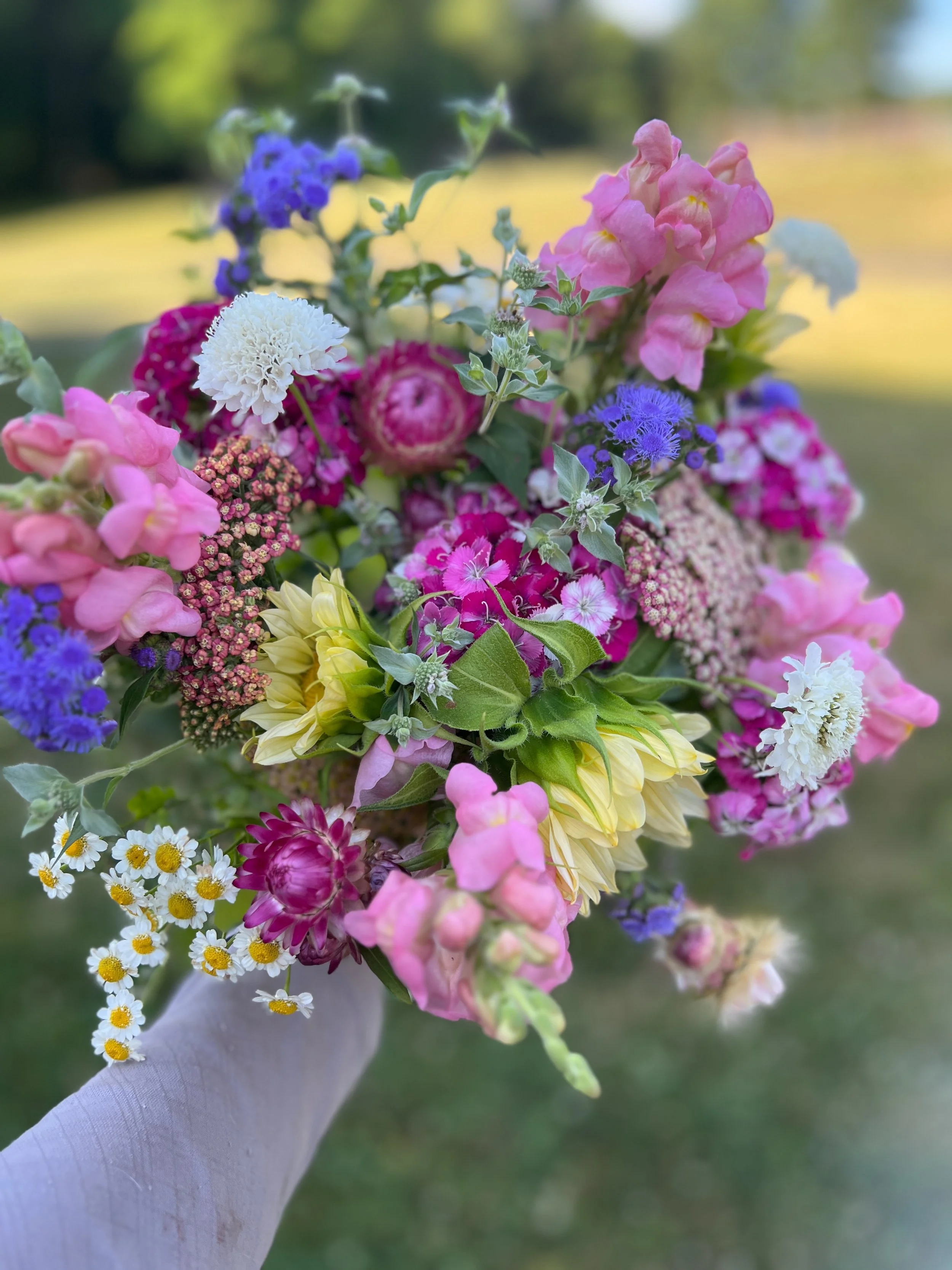 A Season of Flowers (12 weeks of flowers) - PICK UP