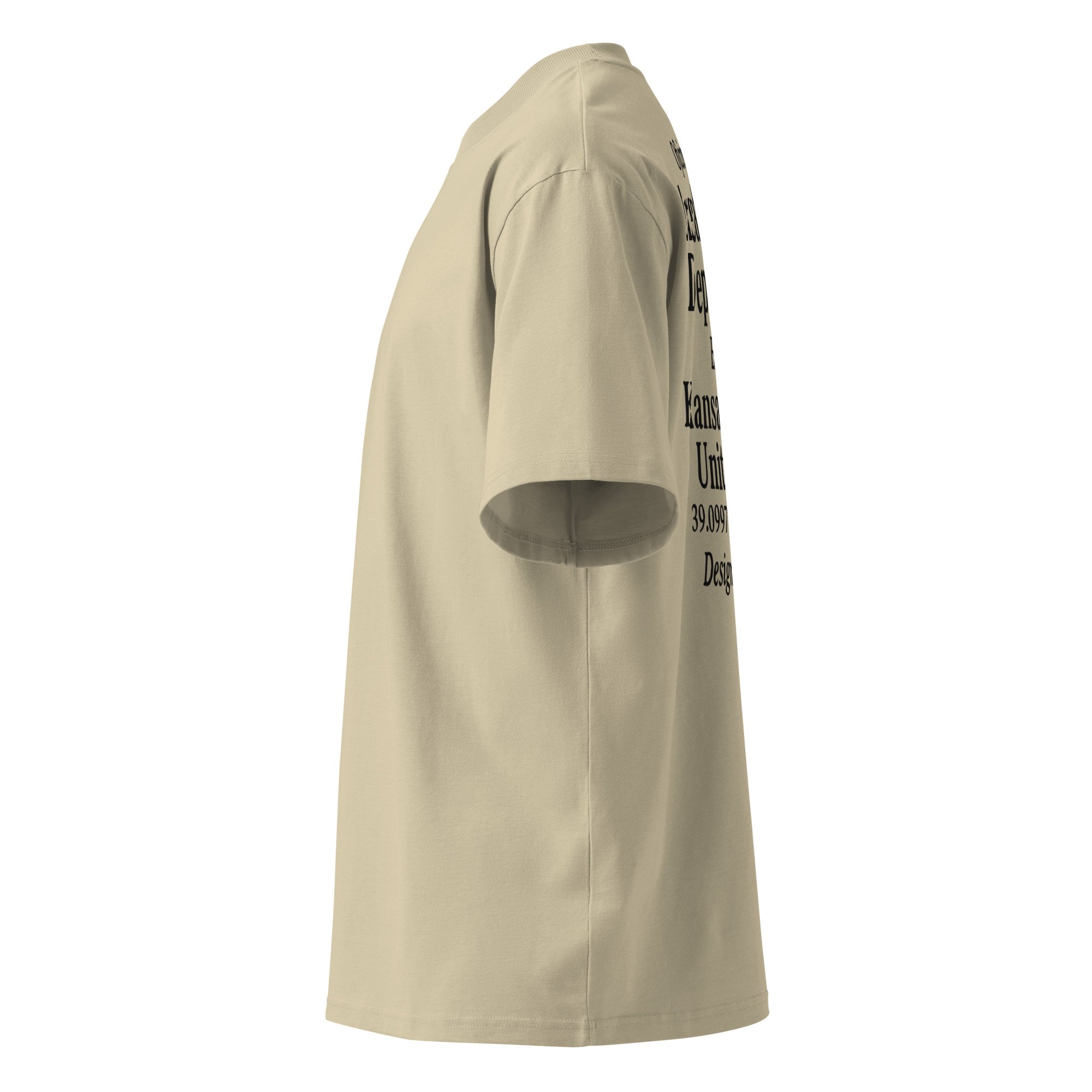 unisex-organic-oversized-high-neck-t-shirt-stone-left-6872a6adbffb7.jpg
