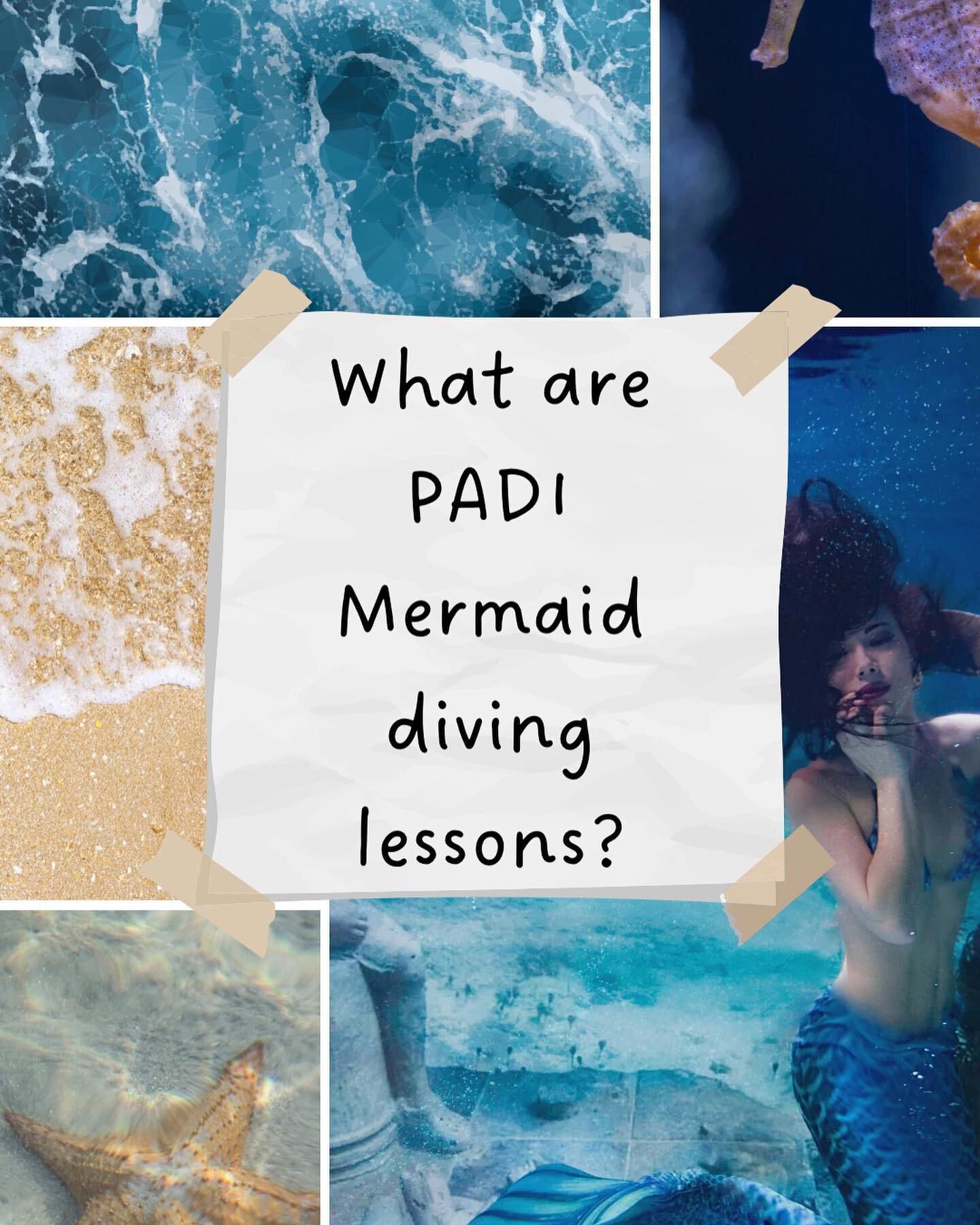 You really can become a mermaid! PADI mermaid lessons highlight the importance of safety in the water, proper swimming techniques (to reduce the risk of injury), and proper conduct around aquatic life like manatees. 
.
.
.
#padimermaid #padidiving #m