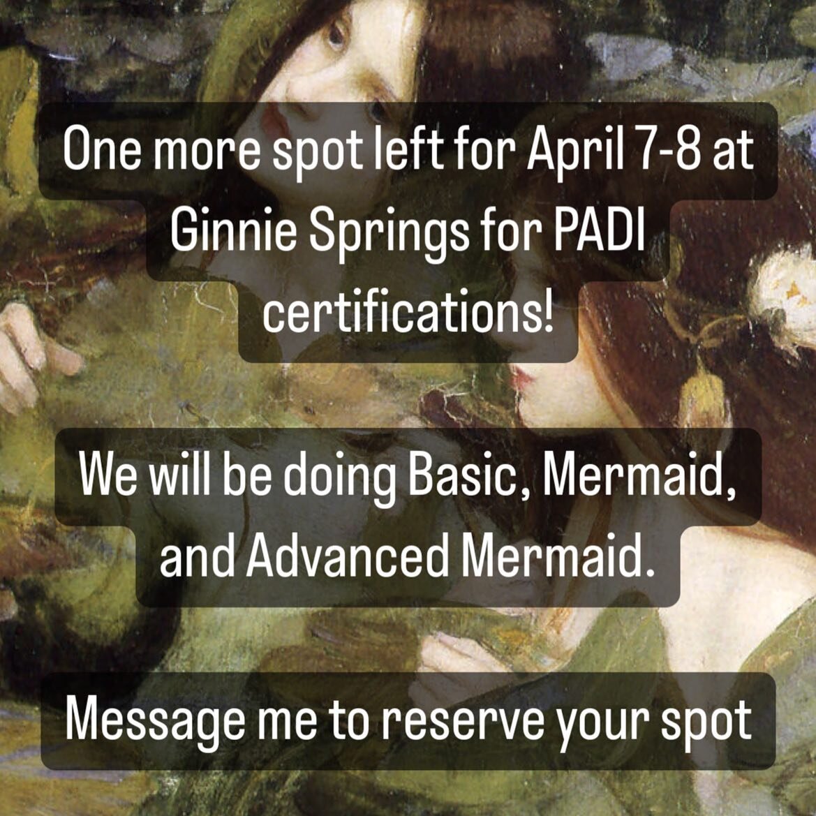 Underwater photos and video included! You don&rsquo;t have to be from Florida to join in. If you want your PADI Mermaid certification, this is a great opportunity  to do that and get some great content for your social media.#padimermaid #mermaidlesso