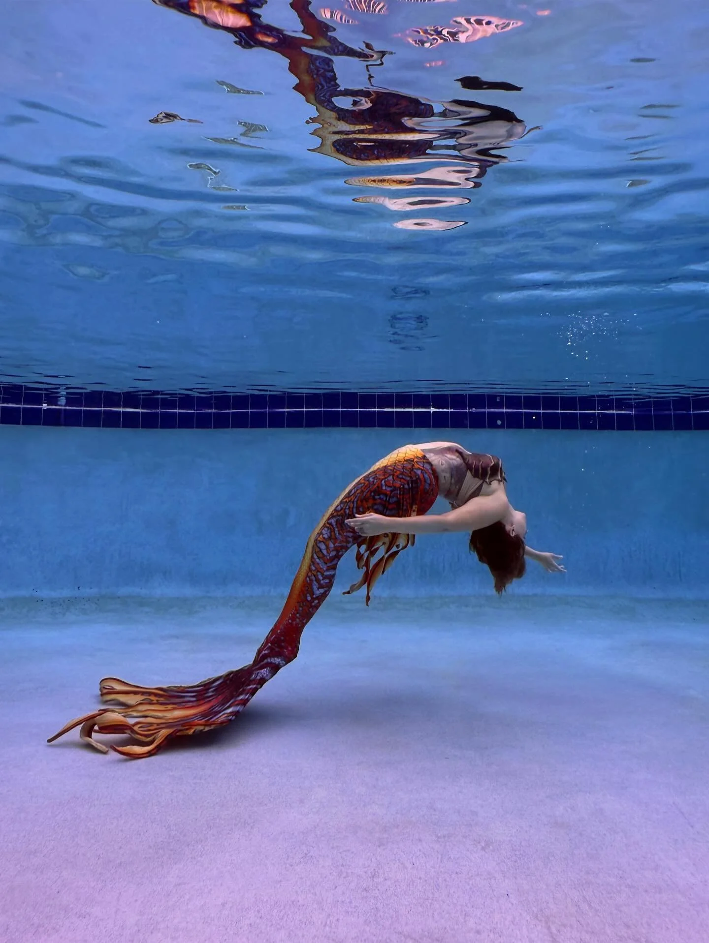A flame amongst the blue. 
.
.
.
🧜🏼&zwj;♀️: @moximascosplay 
Tail: @finfolkproductions x @merbellastudios 
Top: @bayoumermaidart 
.
.
.
#mermaidphotography #mermaidvibes #floridaphotographer #mermaidcore #underwaterphotography