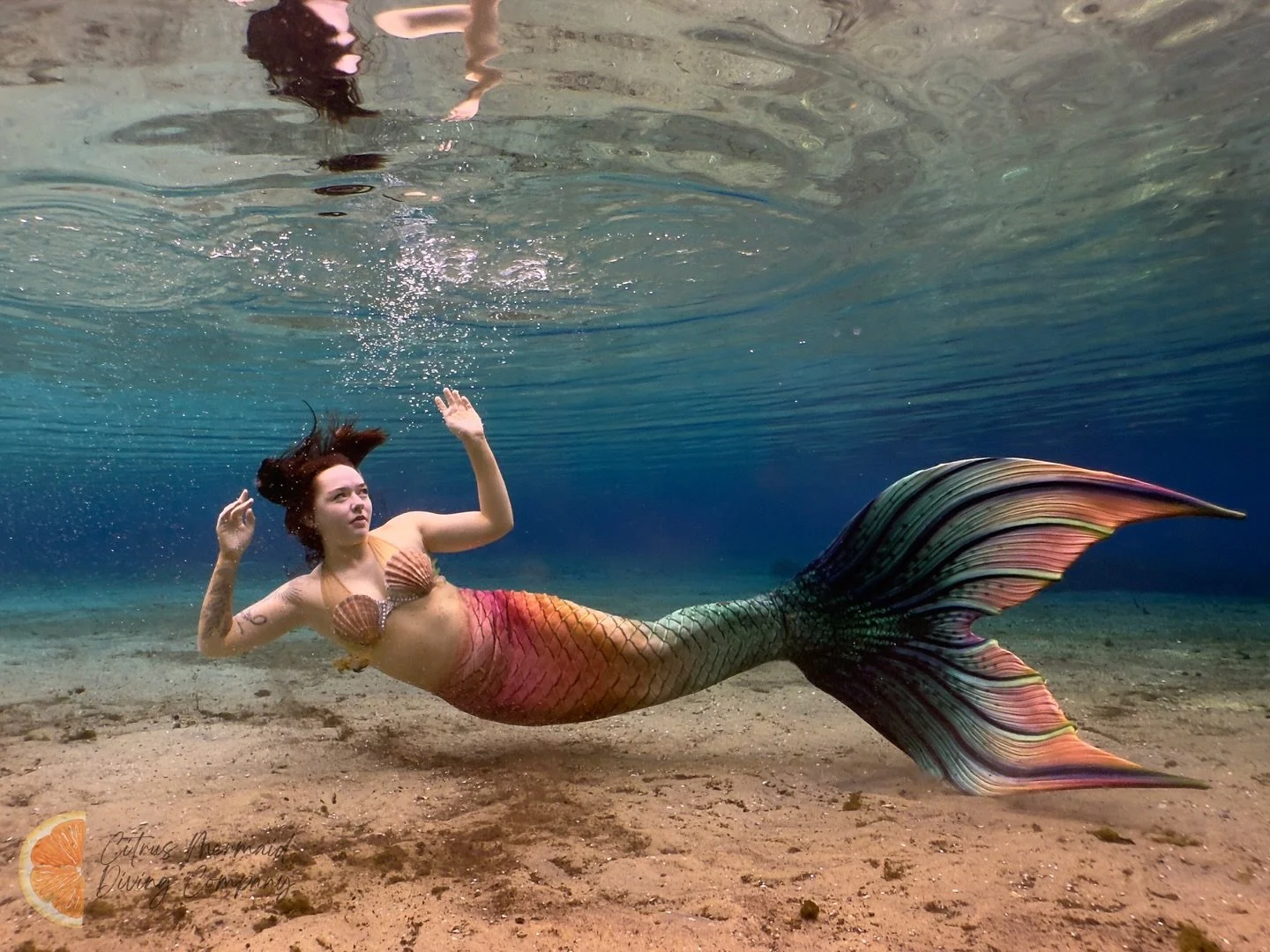 Her first ever underwater photoshoot! I&rsquo;m blown away by how well @seraphinamxxn did and honored that she trusted me to capture these shots for her. 
.
.
.
#mermaid #mermaidphotoshoot #mermaidphotography #underwaterphotographer #underwaterphotog
