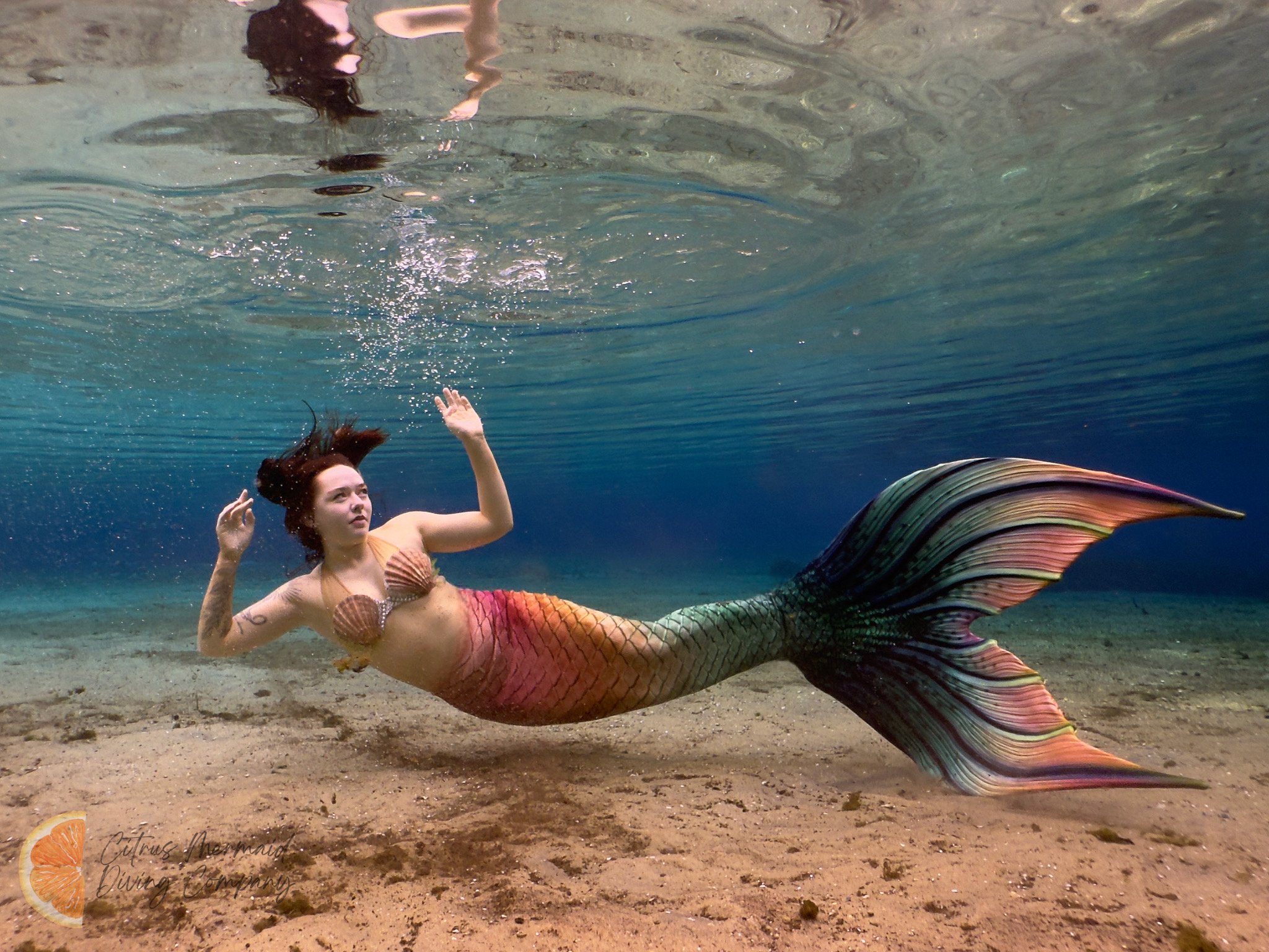 A woman with a mermaid tail and seashell top swimming underwater, with her dark hair floating around her