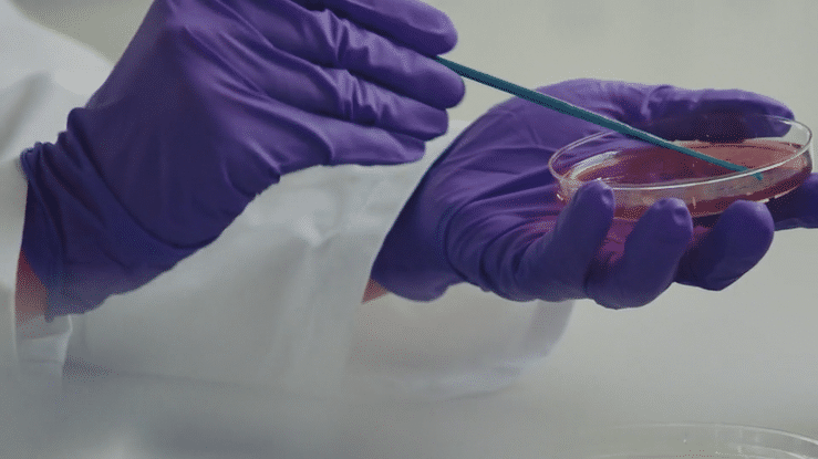 Labcorp & Wired